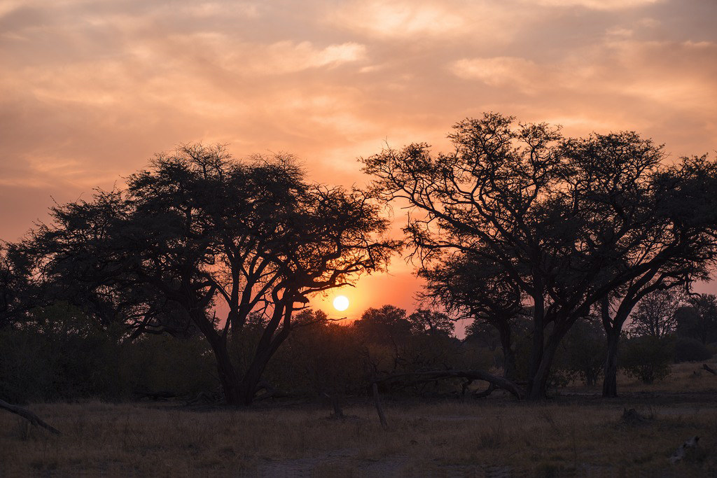 Magic Sunset (Botswana)