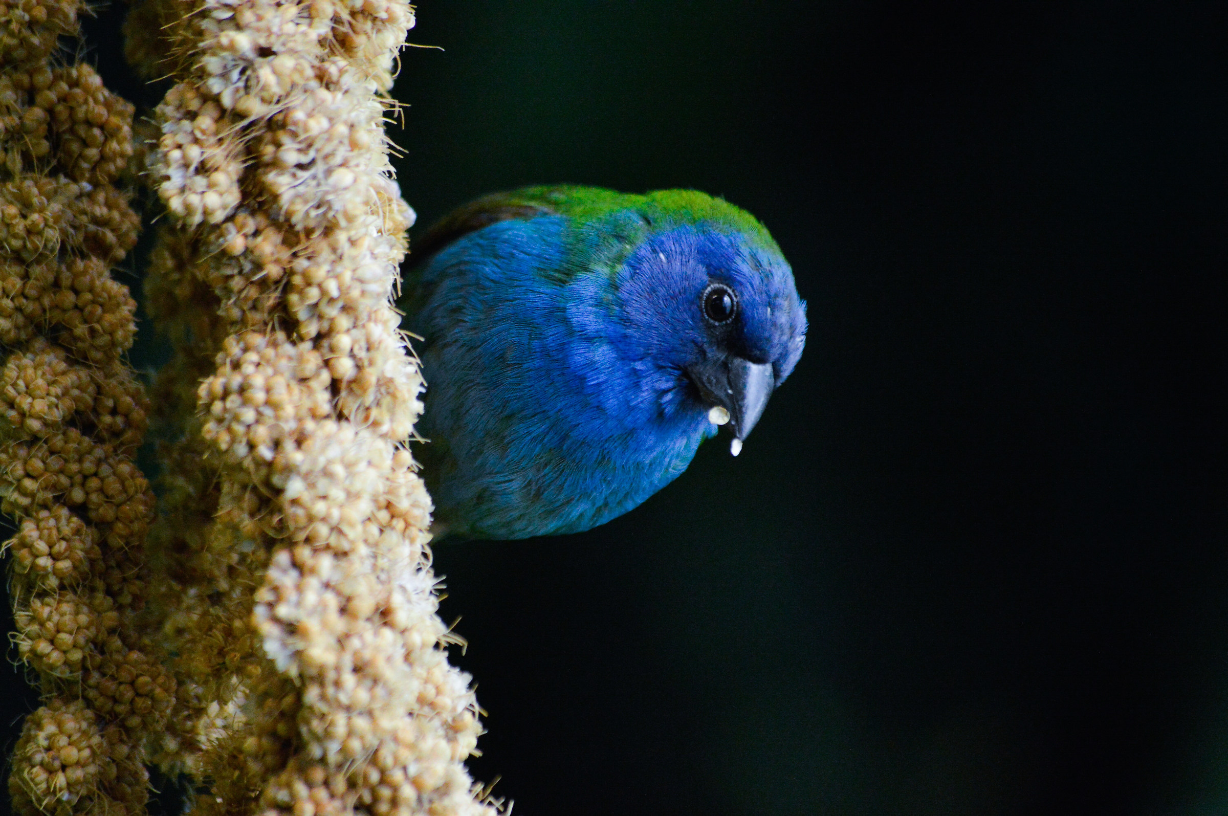Conoscere piccoli mondi di cui a volte si ignora l'esis