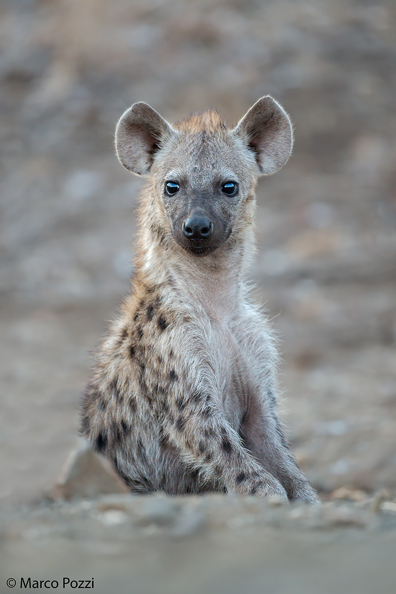 A handsome young man