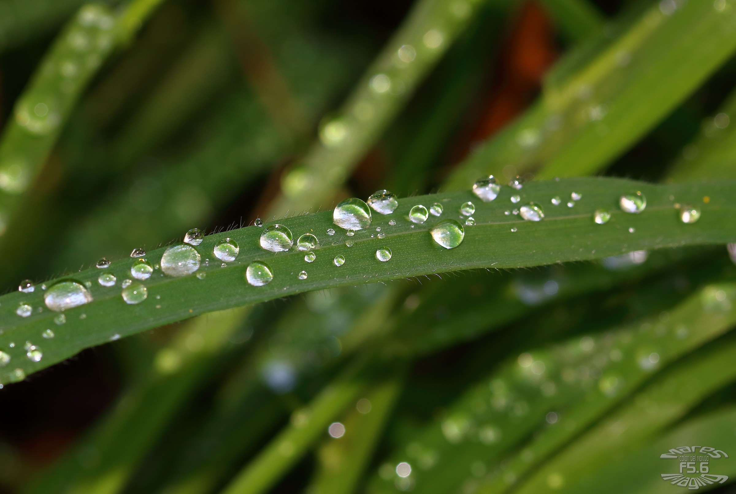 Ci scaldiamo al sole