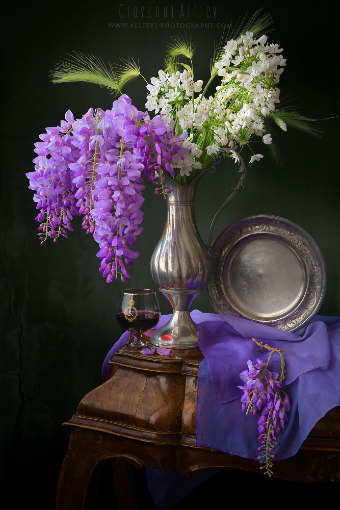 Wisteria and Ramsons