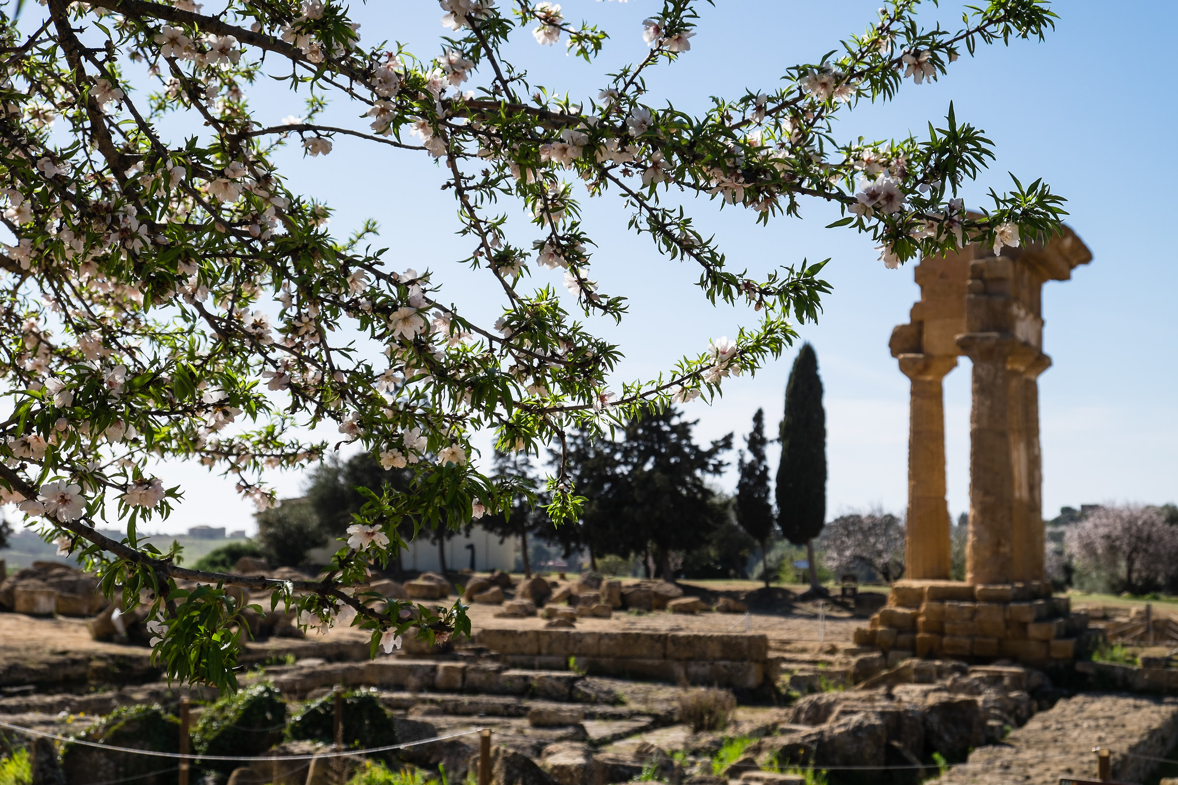 Valle dei Templi (ag)