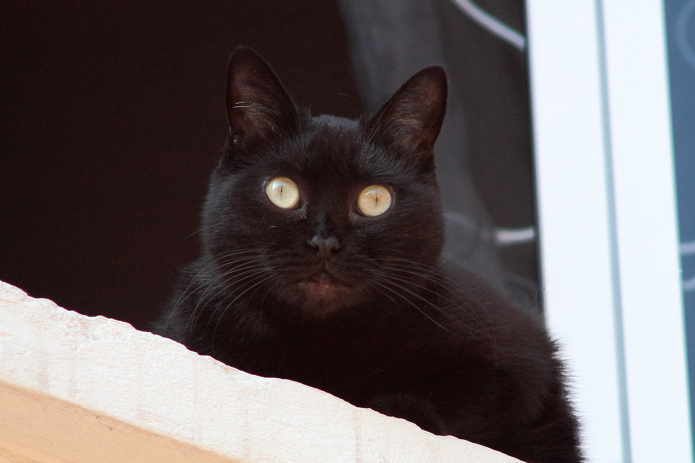 and you who want ?????????????