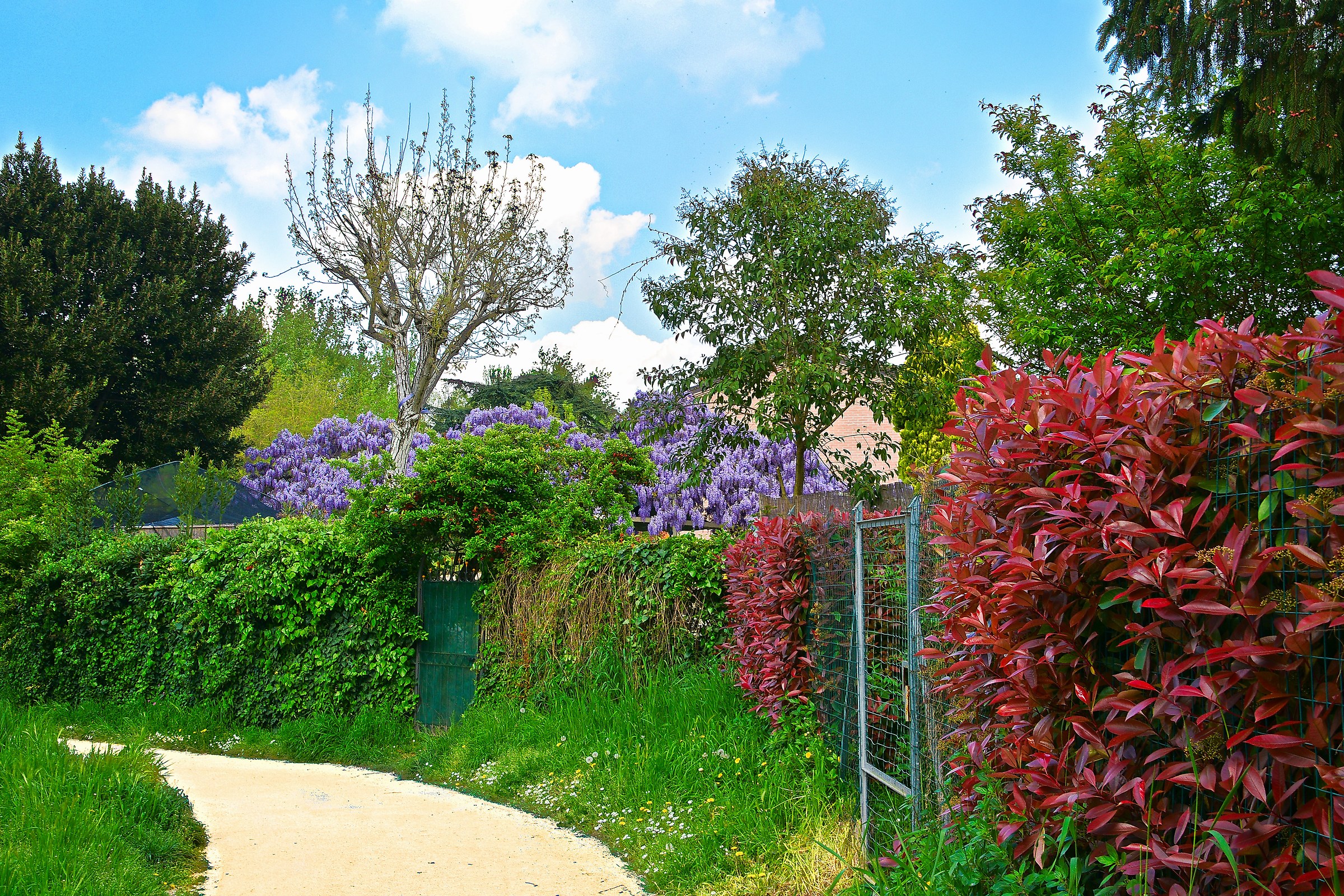 e' arrivata la primavera