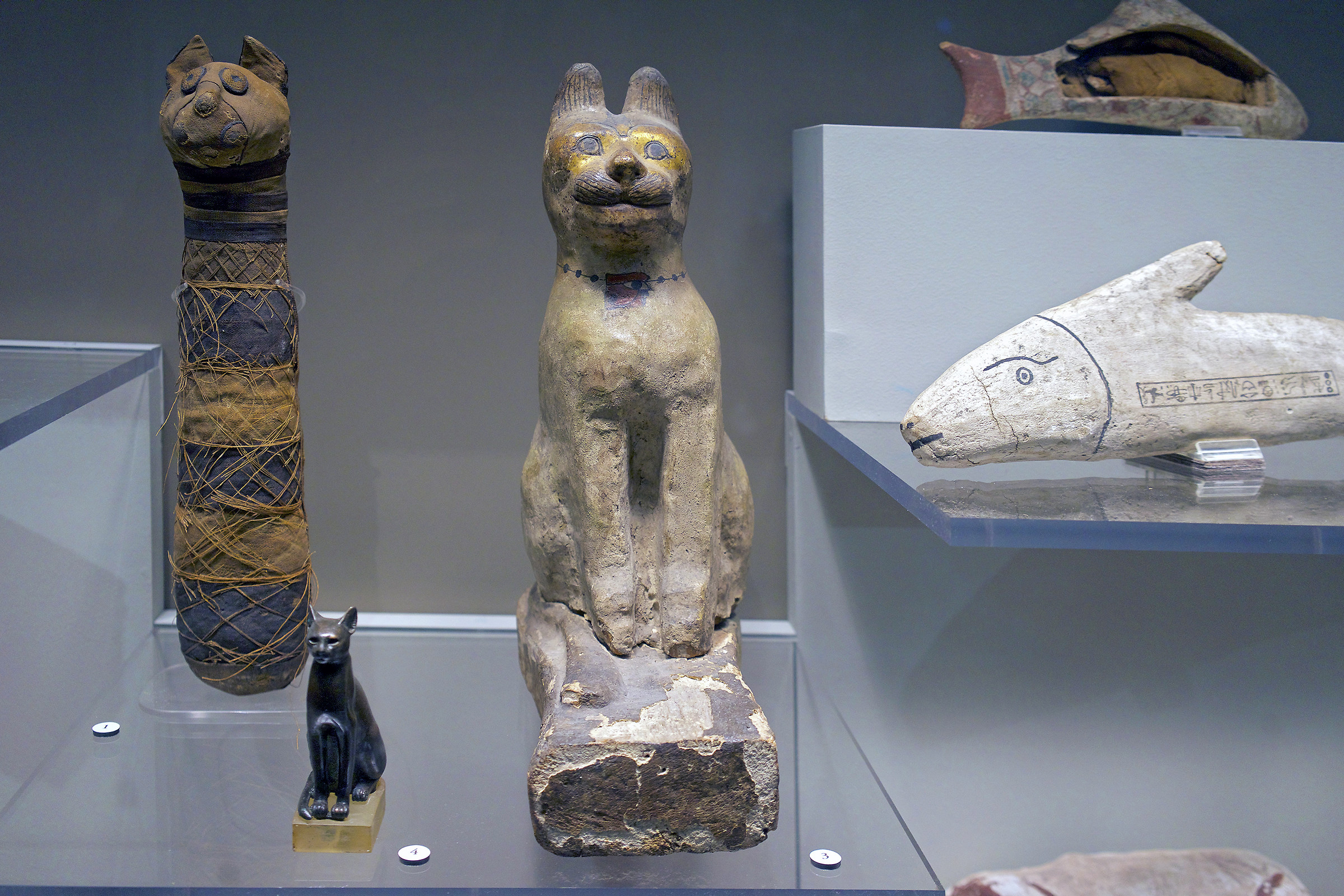 Ancient cats with fish