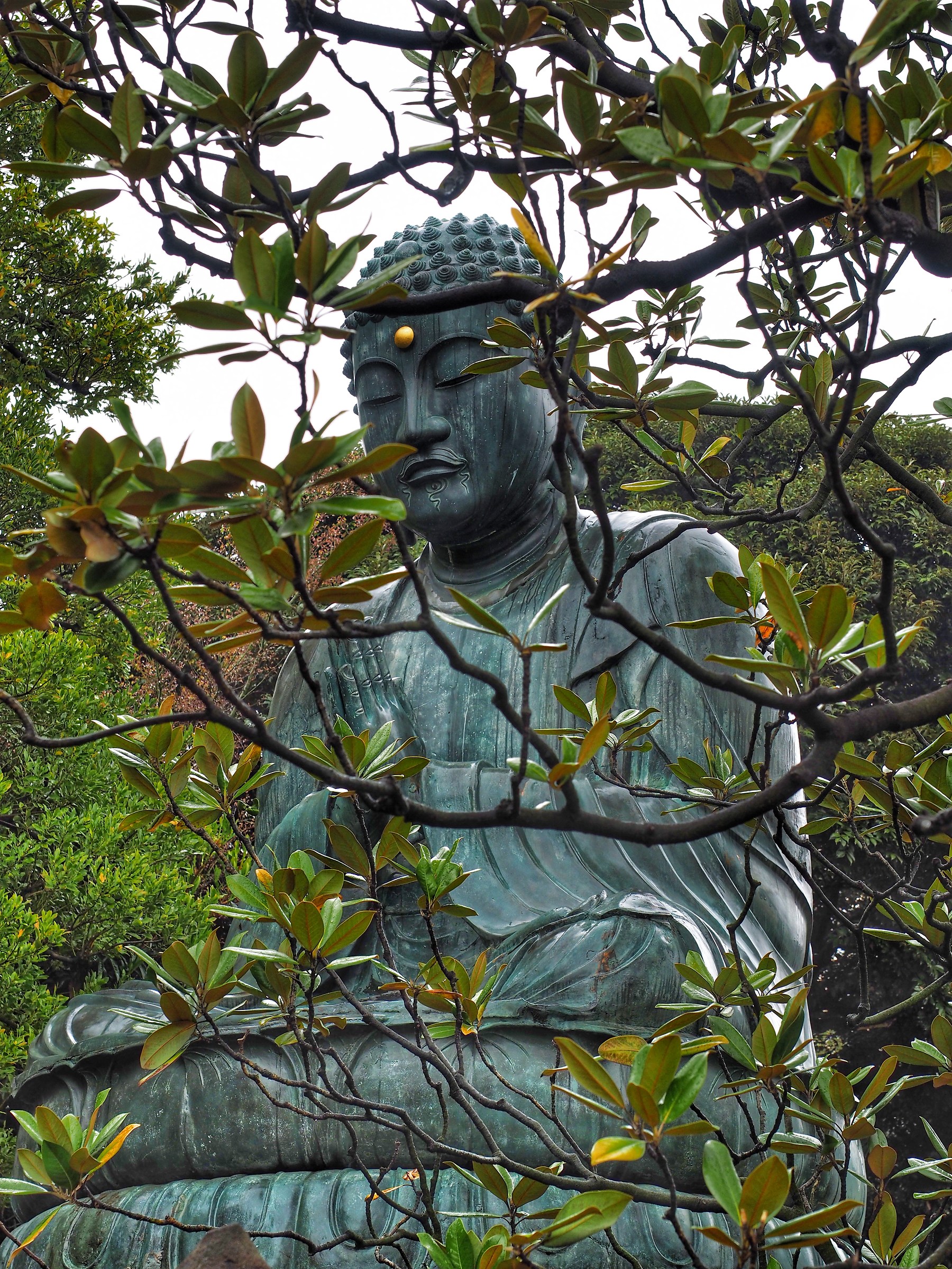 Buddha in tokyo