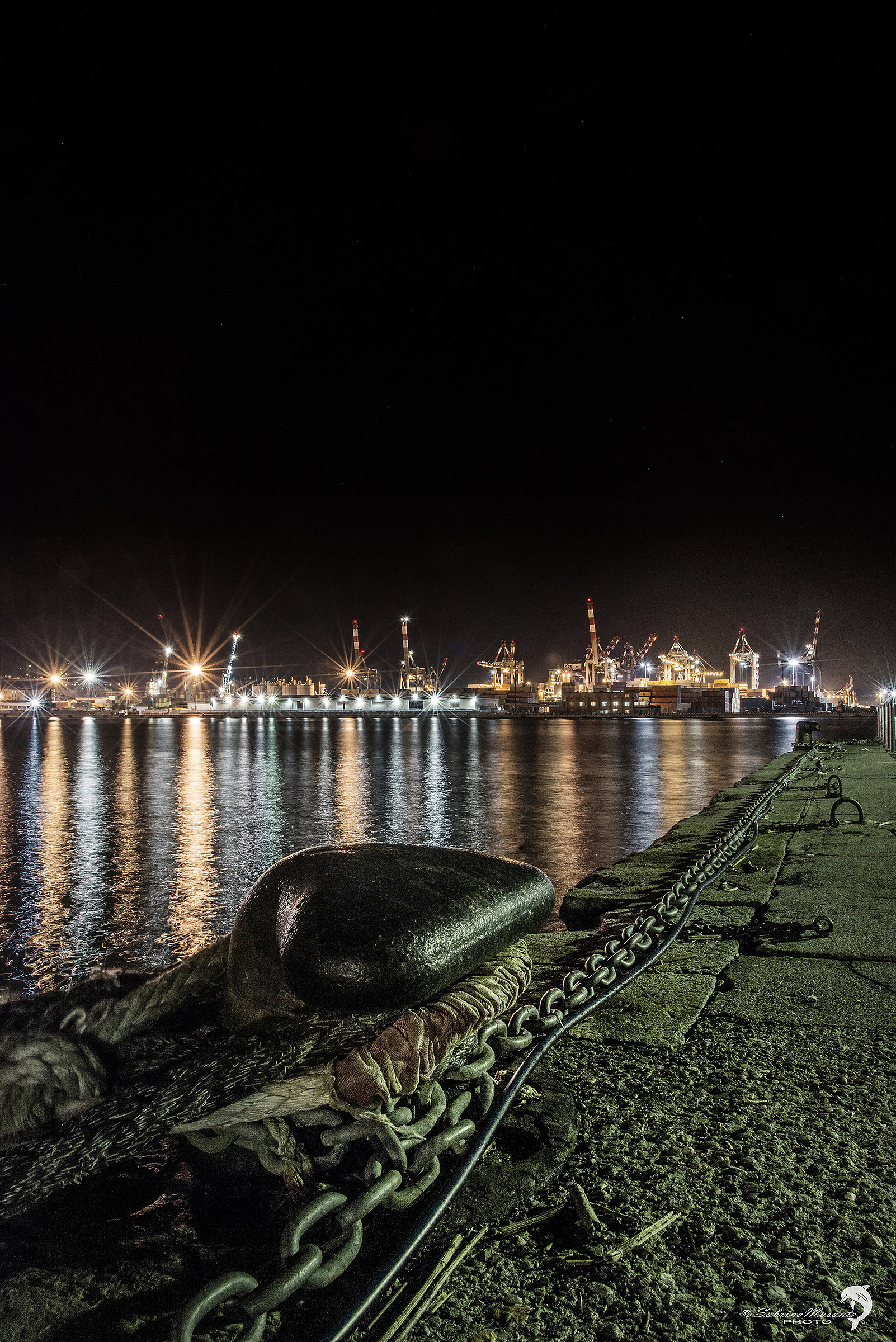 La Spezia, The harbor