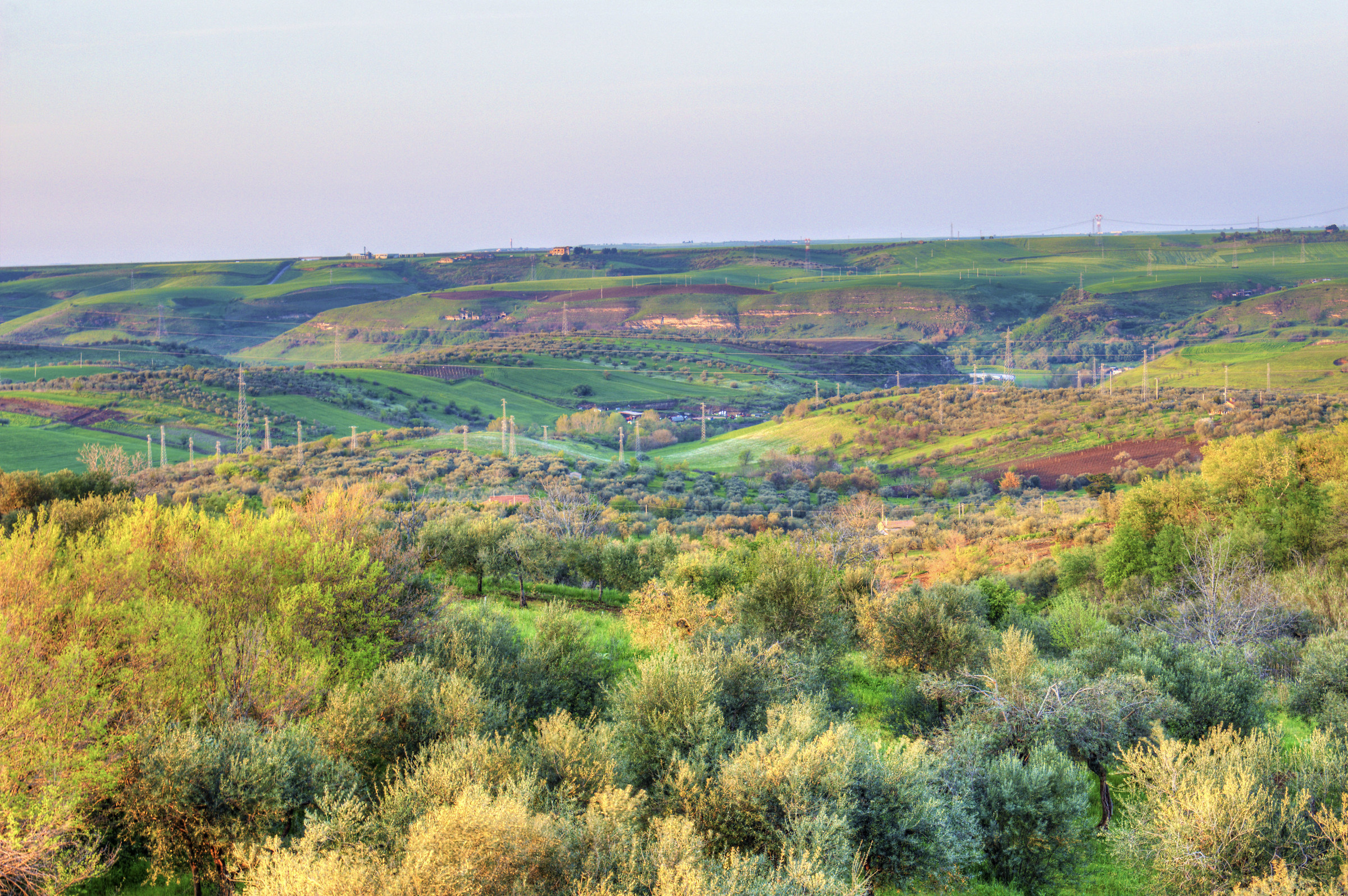 from the window of the house