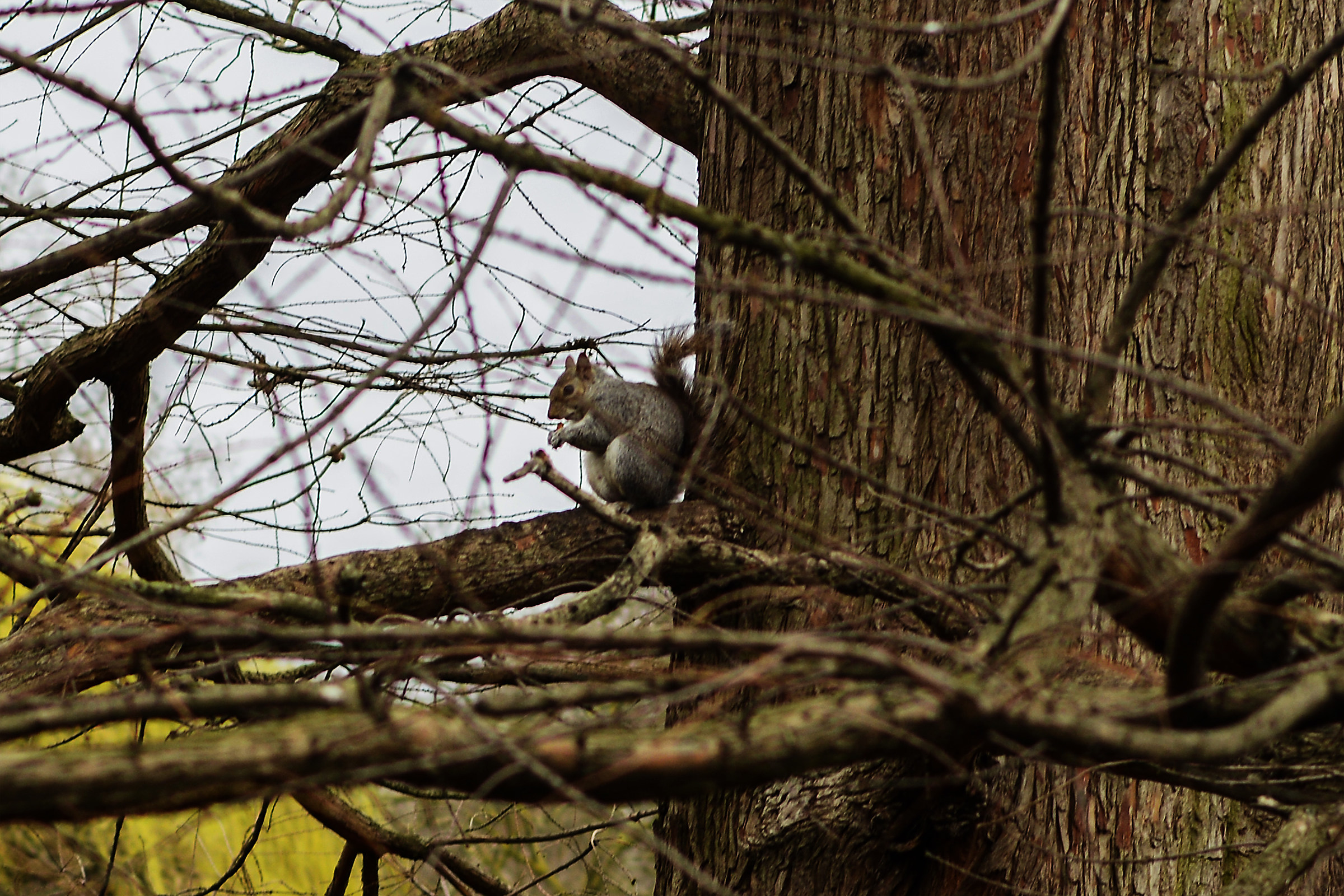 I make myself a snack