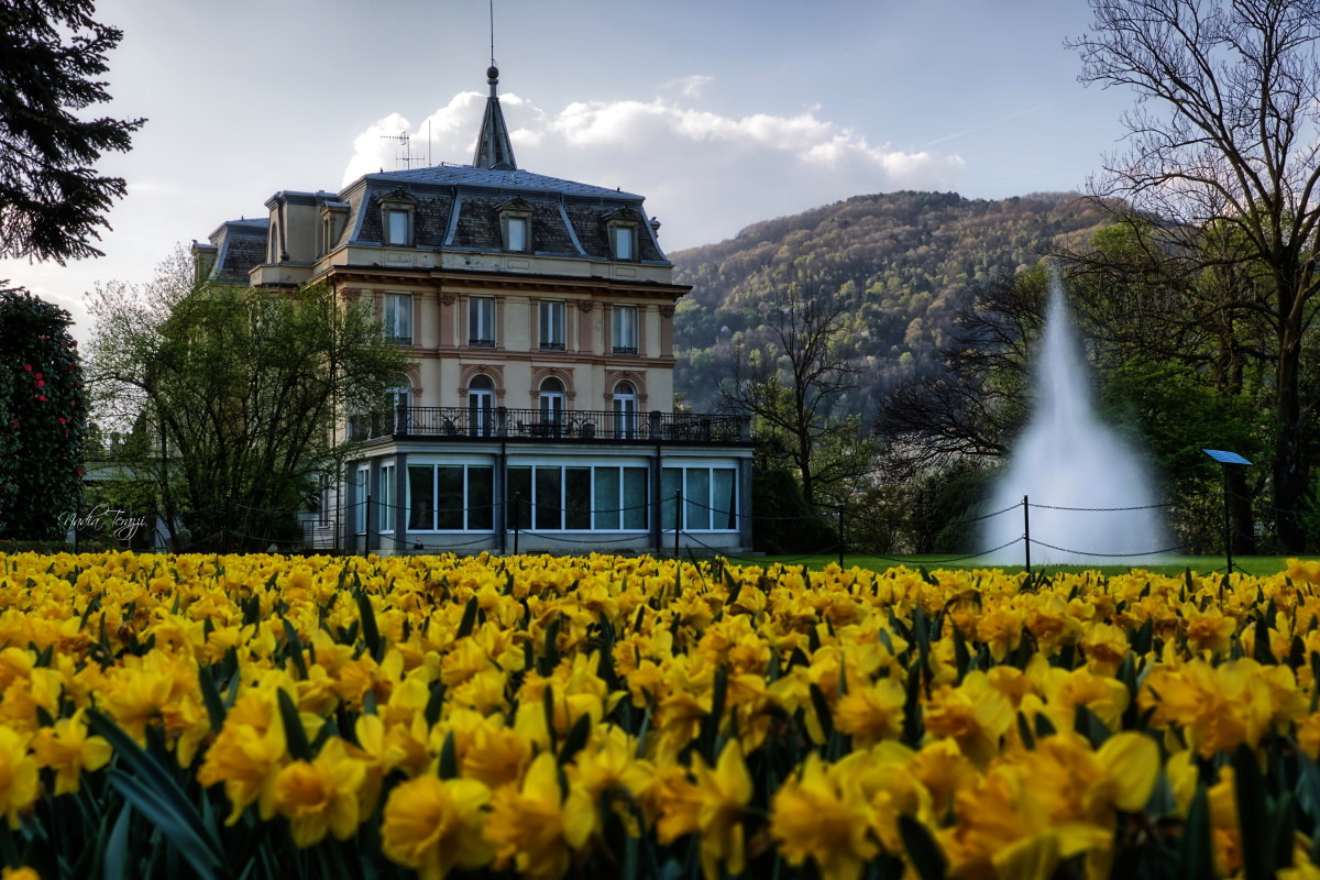 Villa Taranto - Verbania
