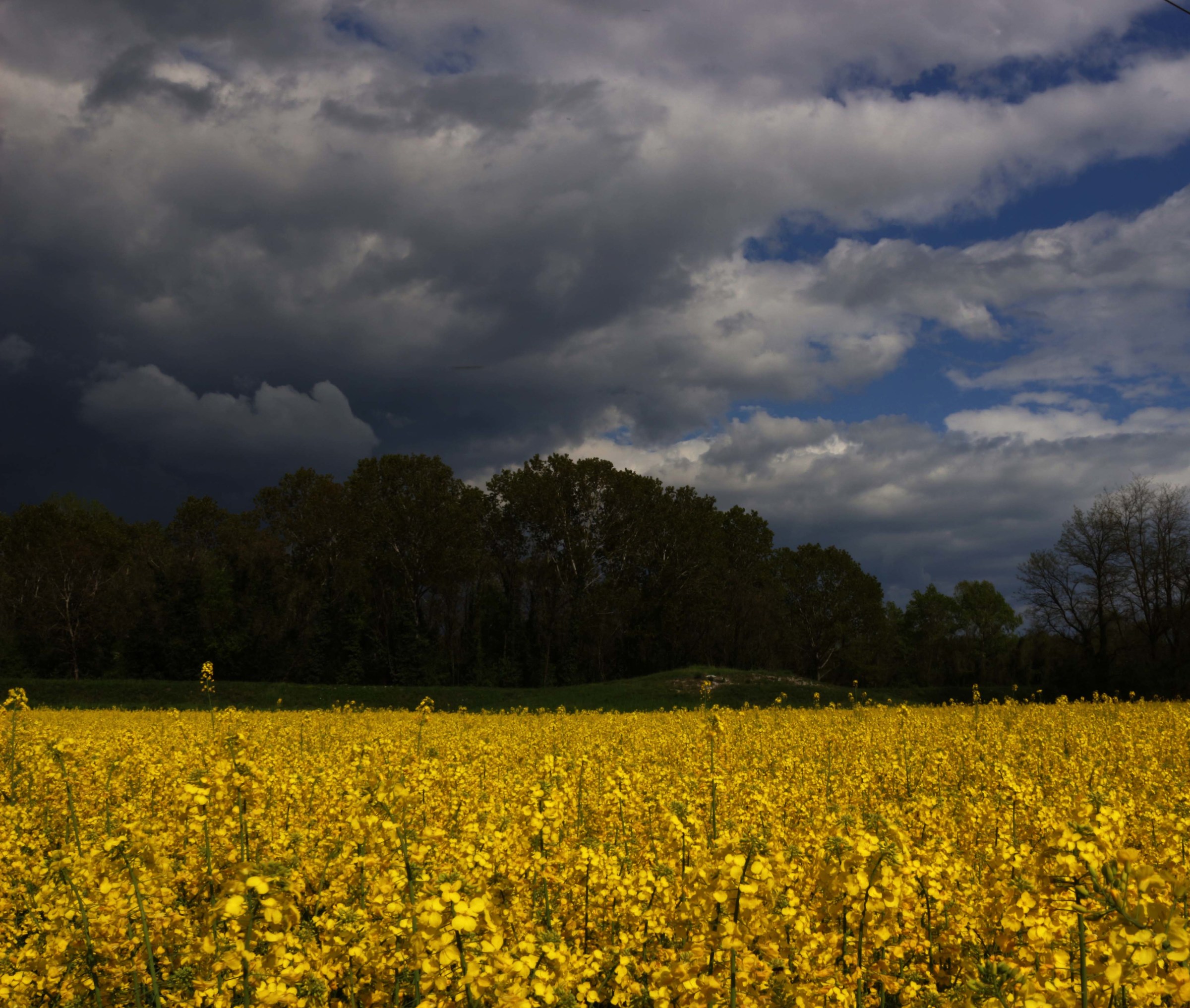 si preparano nuvoloni neri