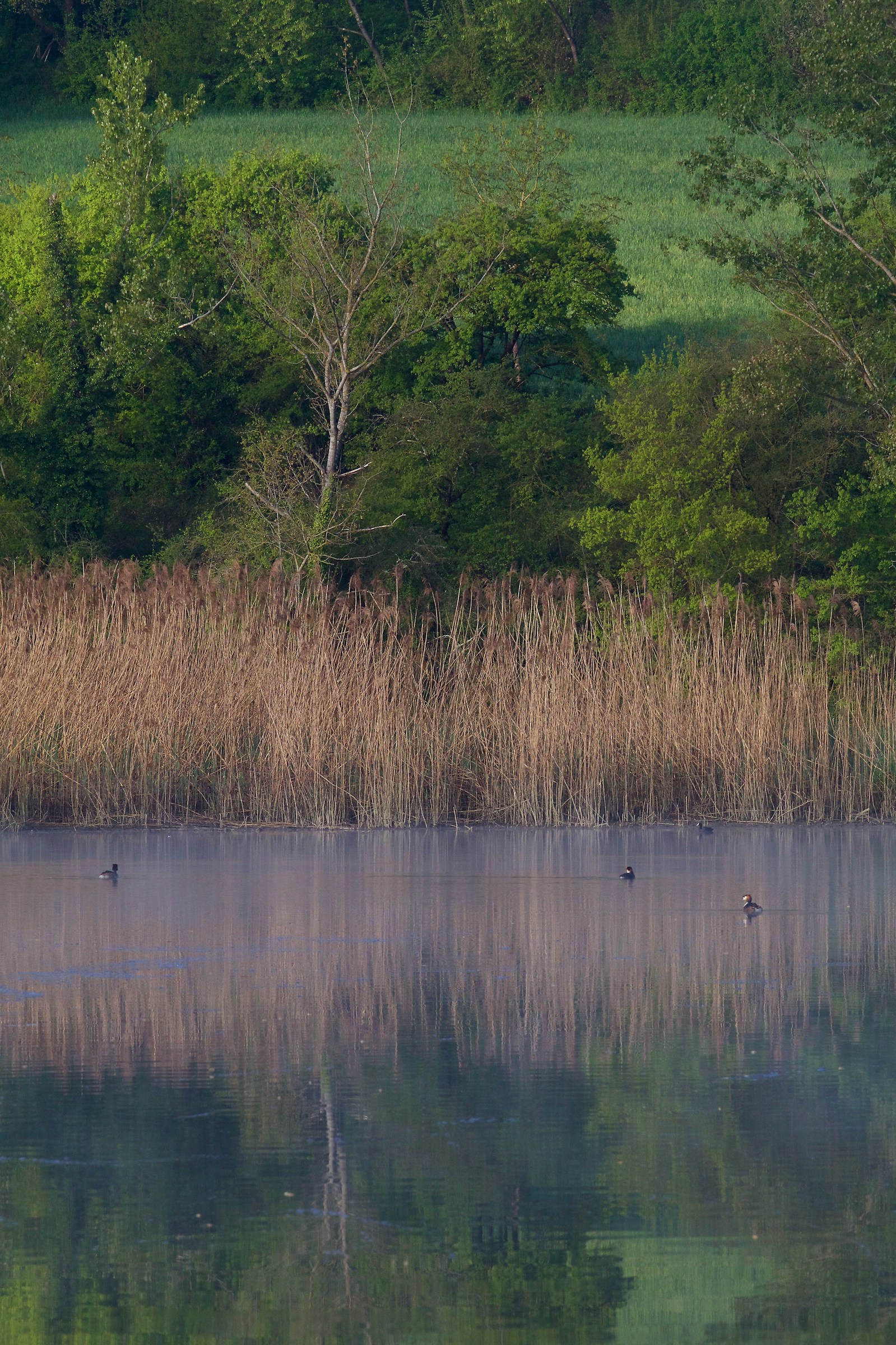 the Arno at Ponte Buriano