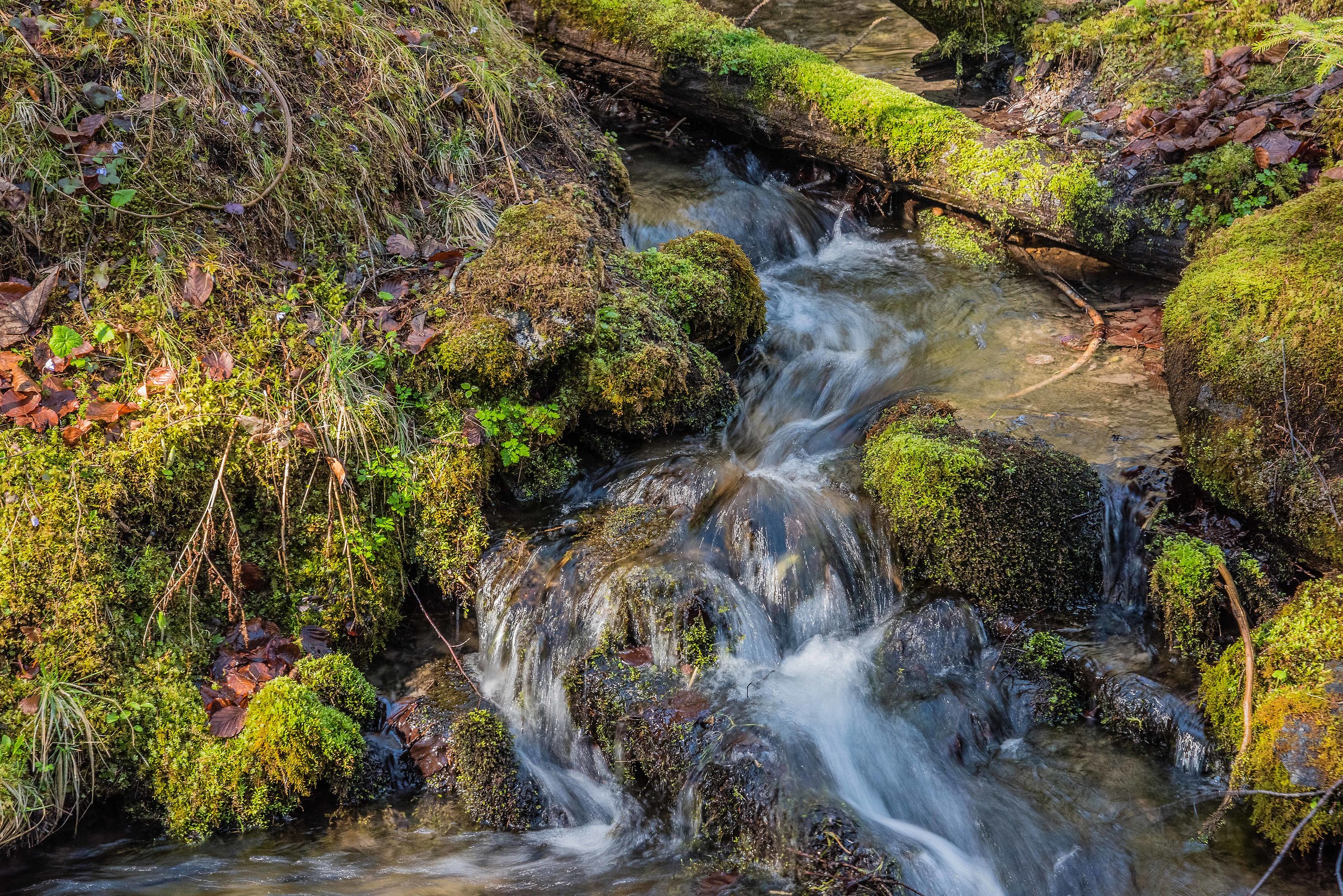 Walk to Tristacher See (Lienz Tyrol)