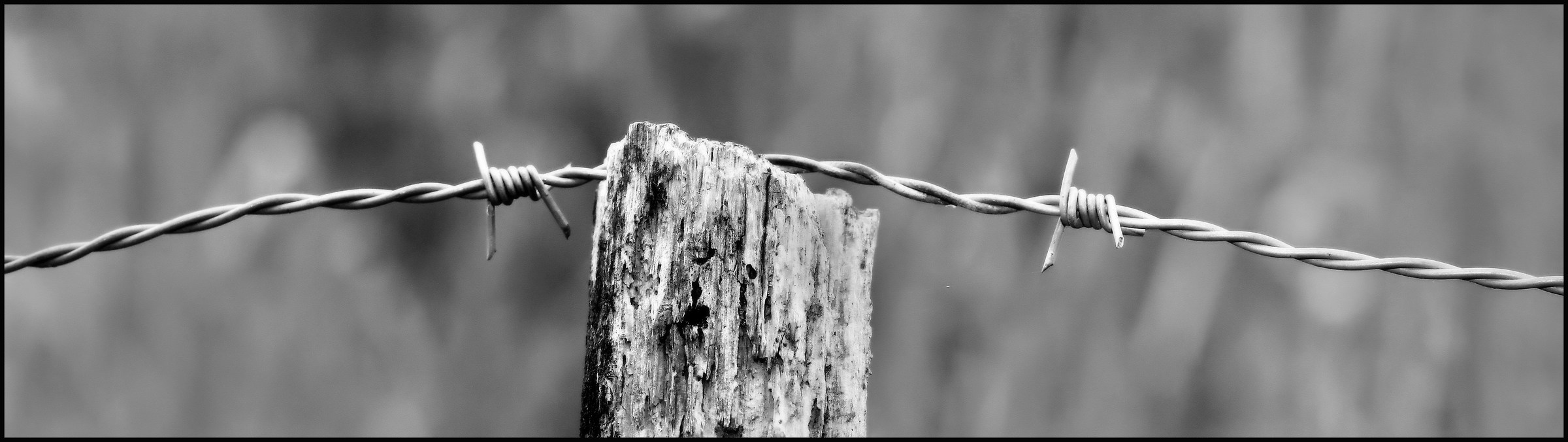 limits to be respected ....