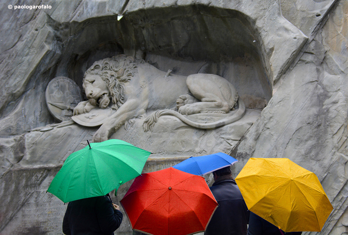 splashes of color on a rainy day