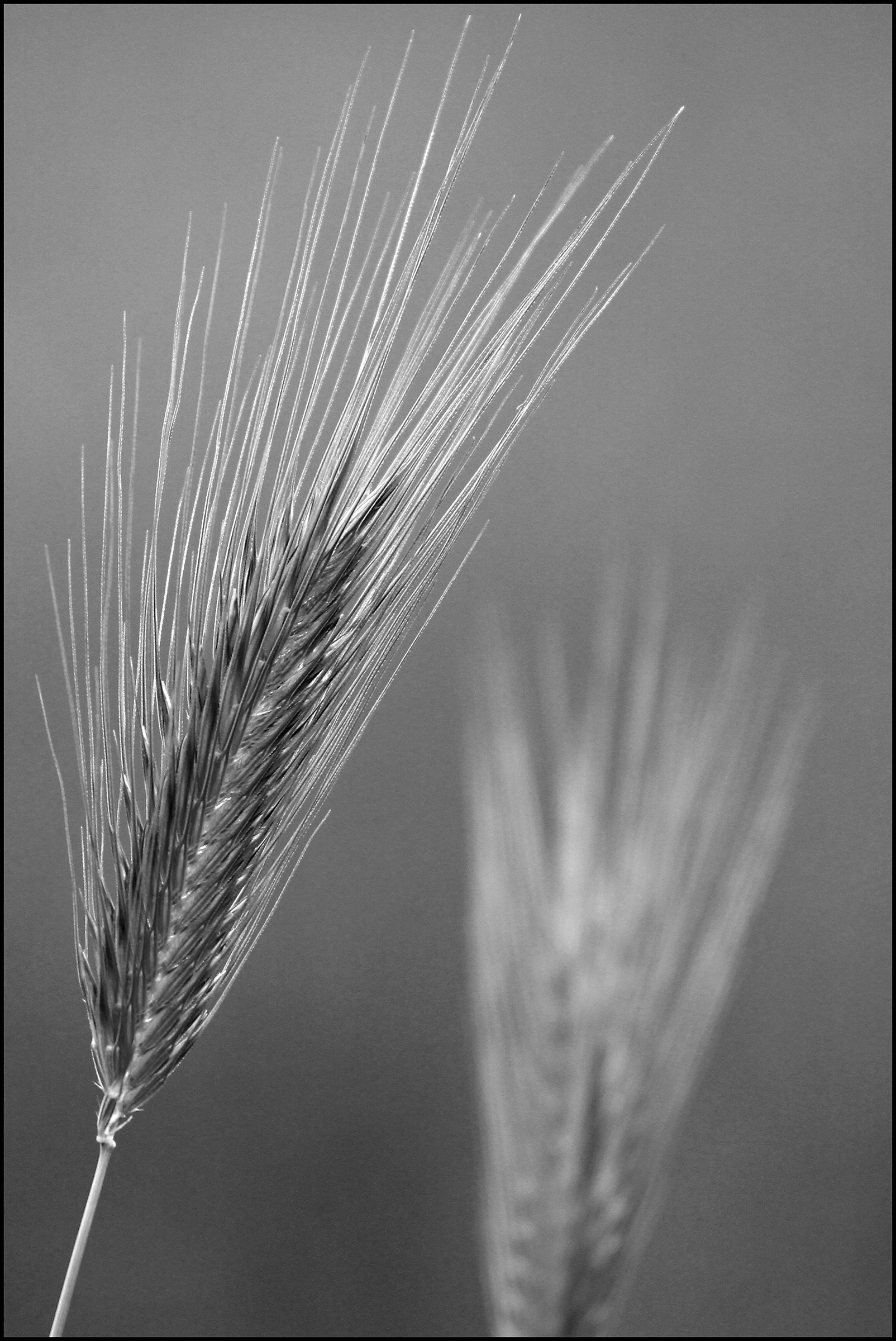 In the country side....