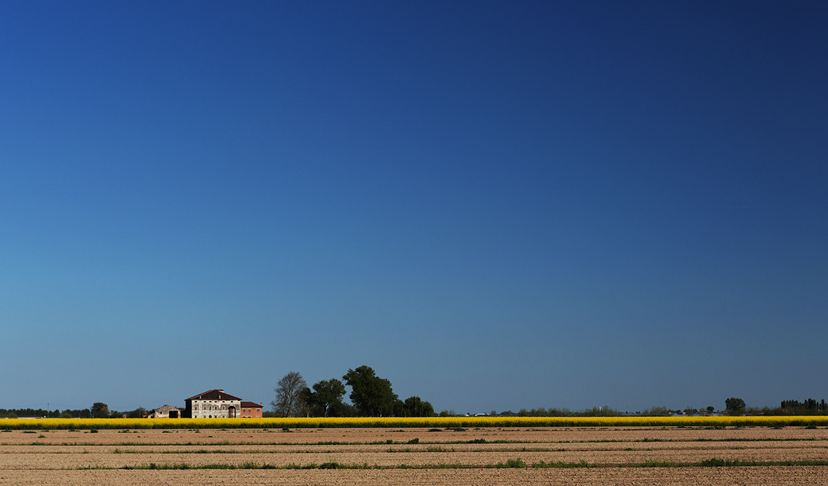 The thin yellow line - Minerbe (vr)