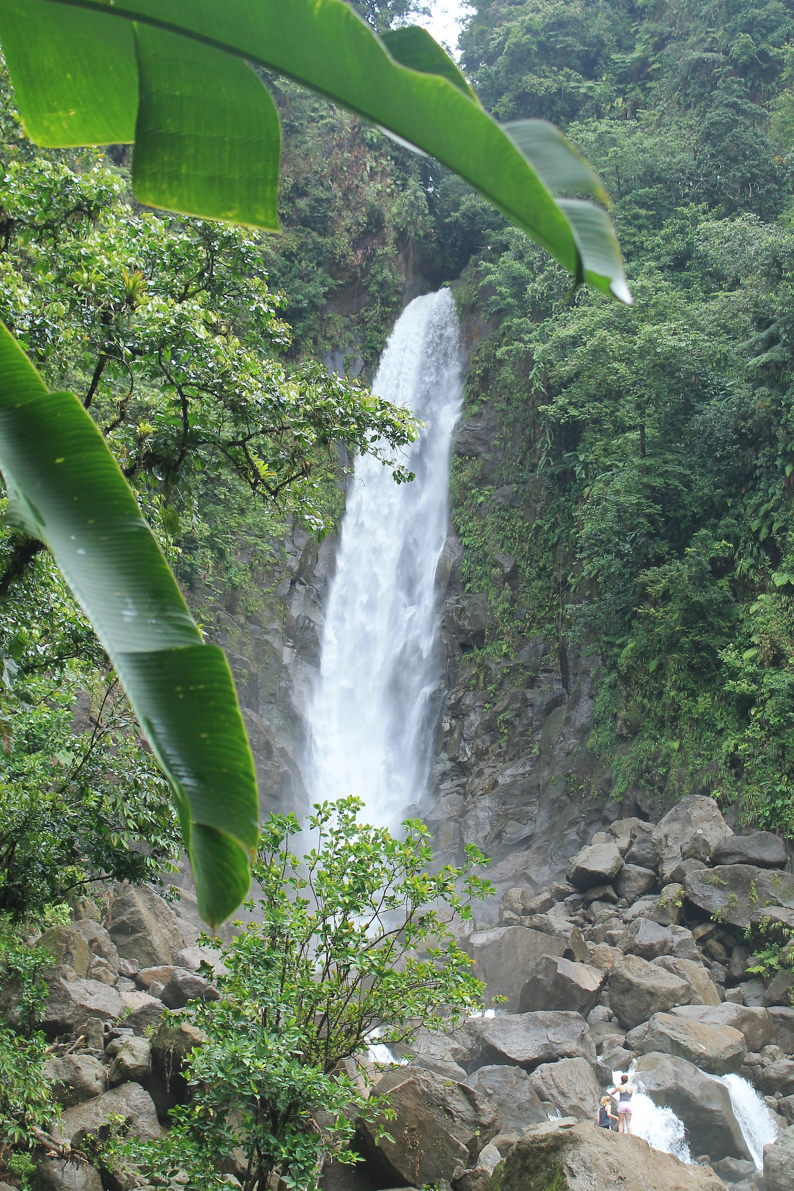Cascata a Dominica