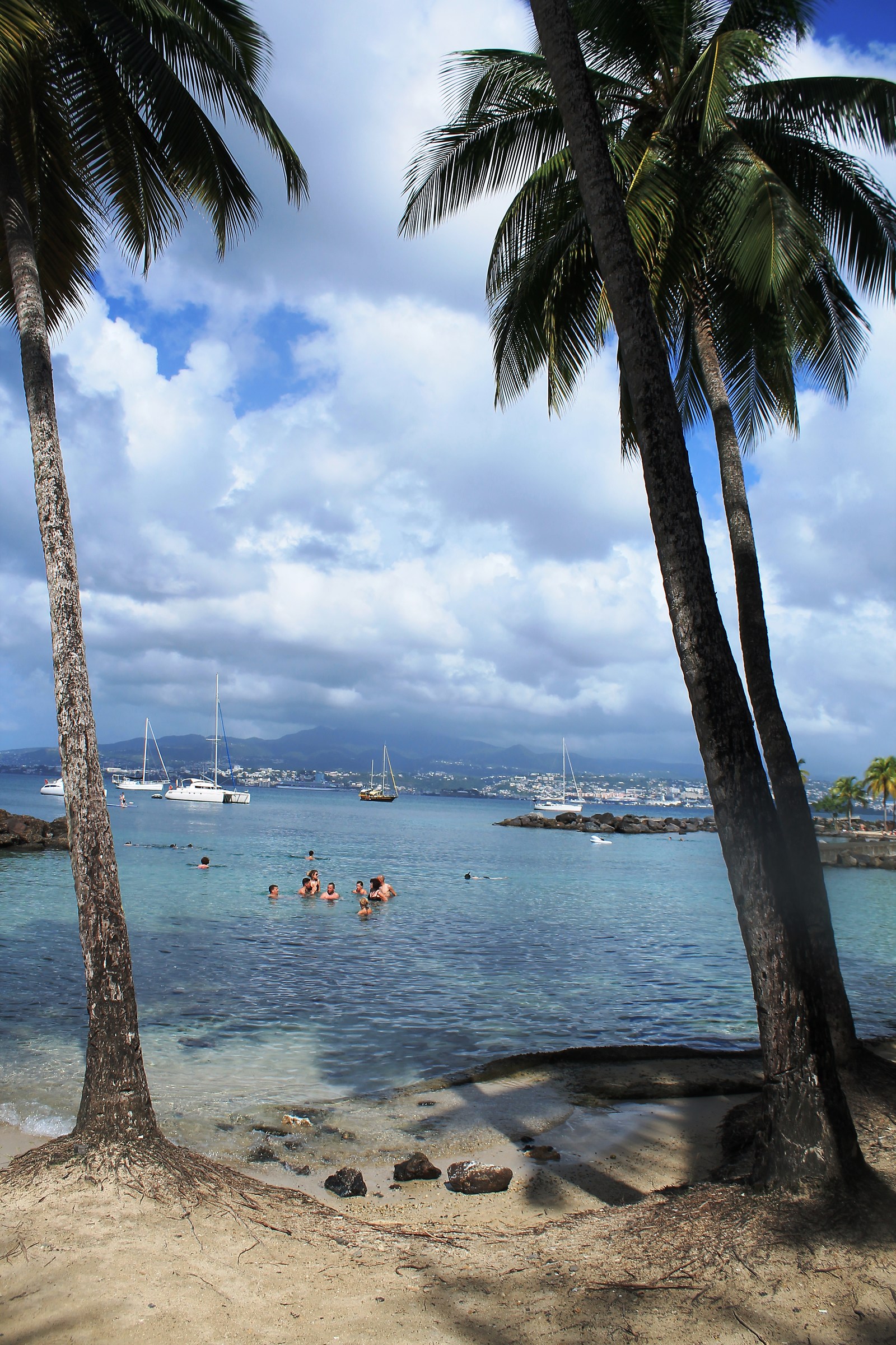 Meeting acquatico....Martinica