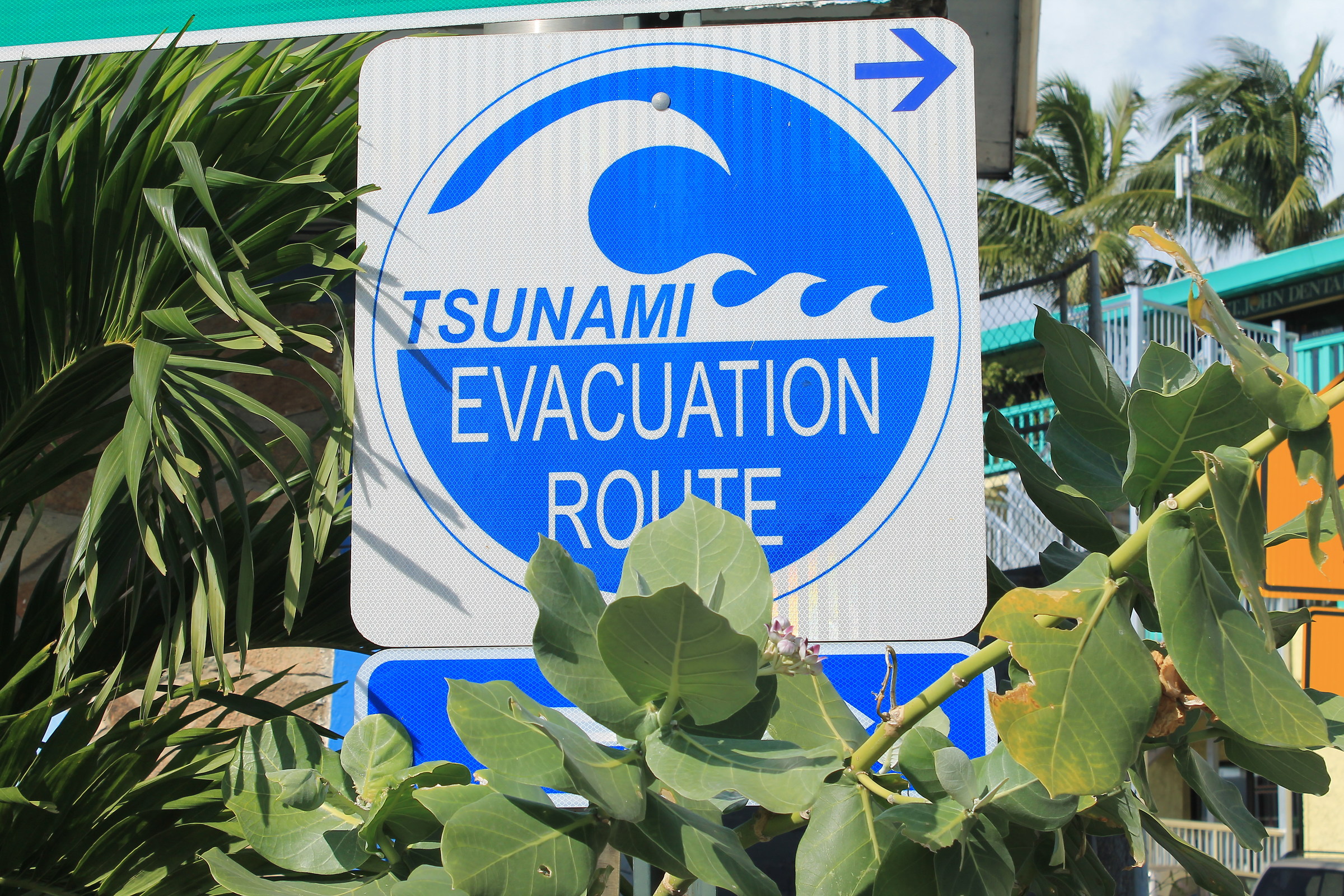 Uomo avvisato....corre veloce!