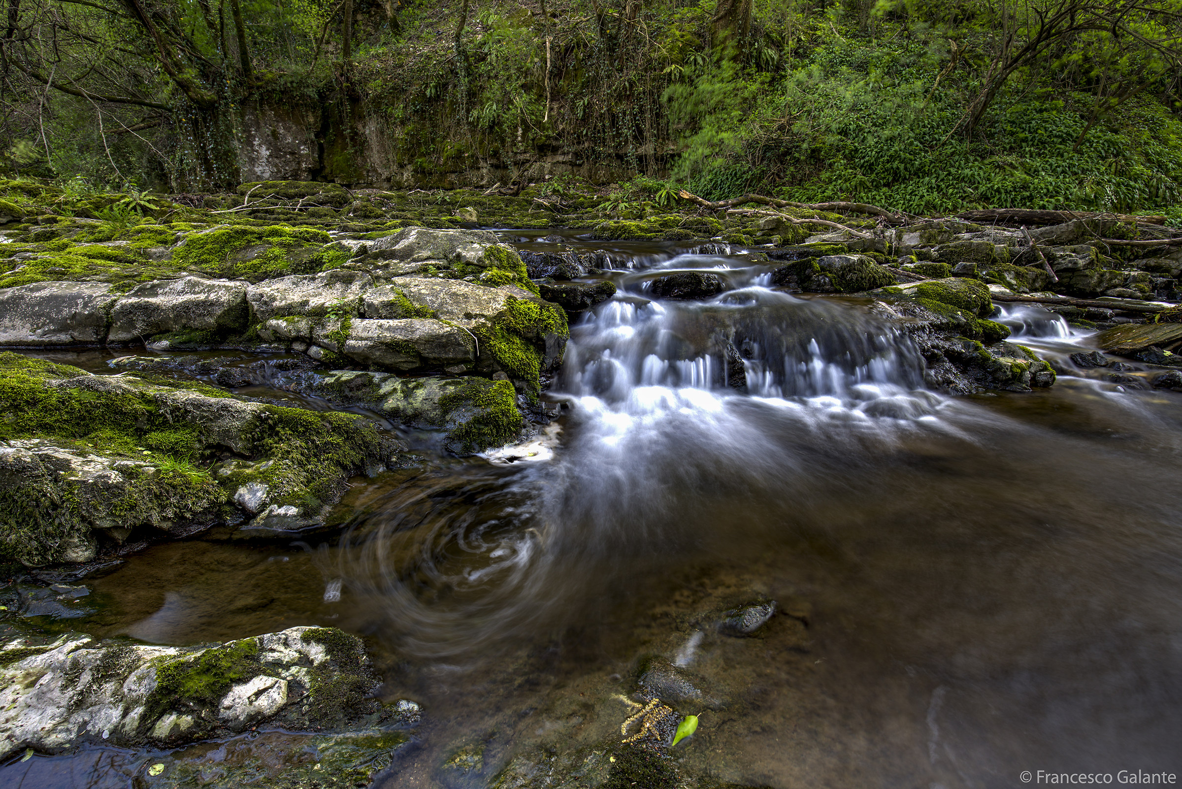 Torrente Margorabbia - Ferrera di Varese