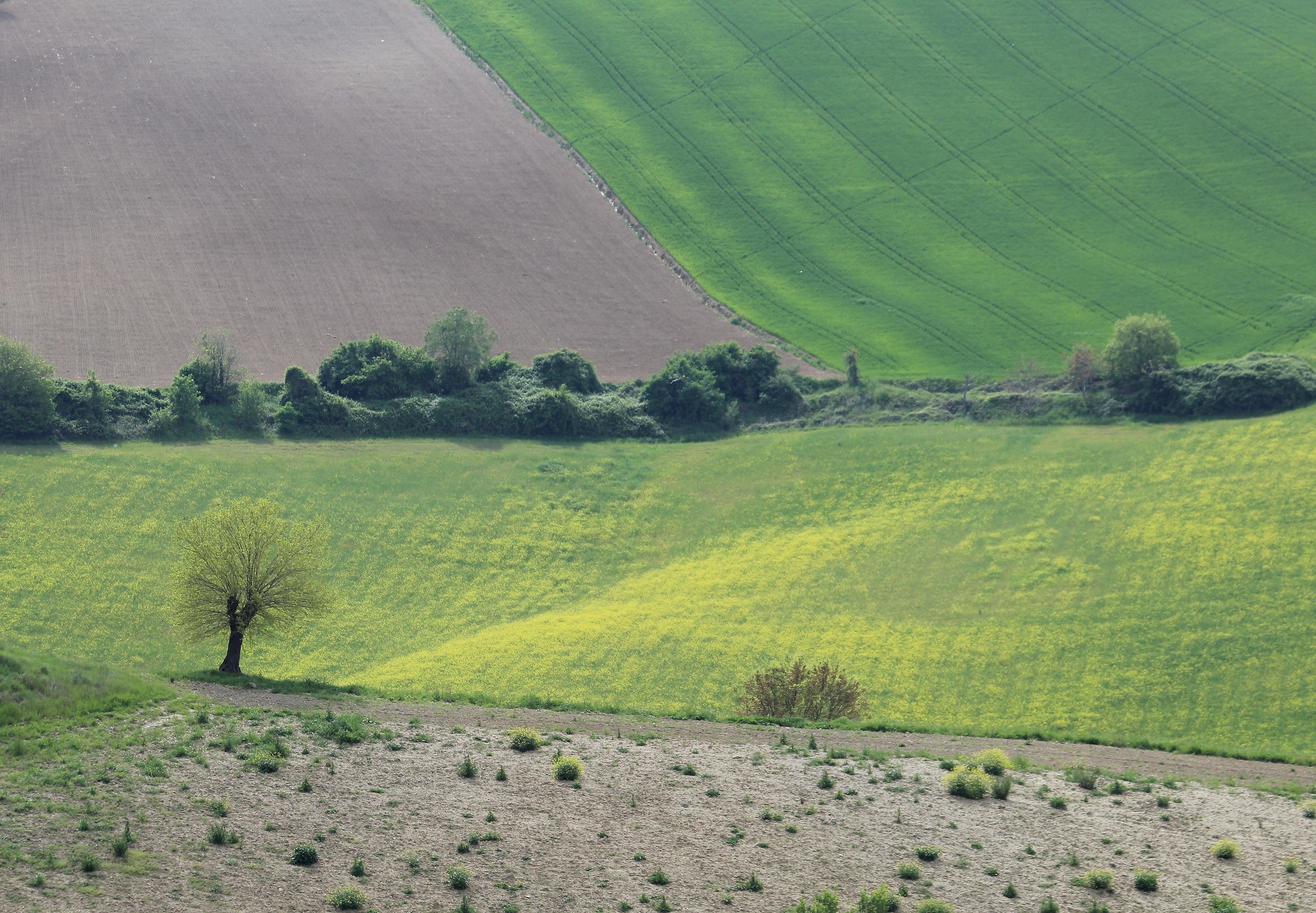 Colors and shapes ...