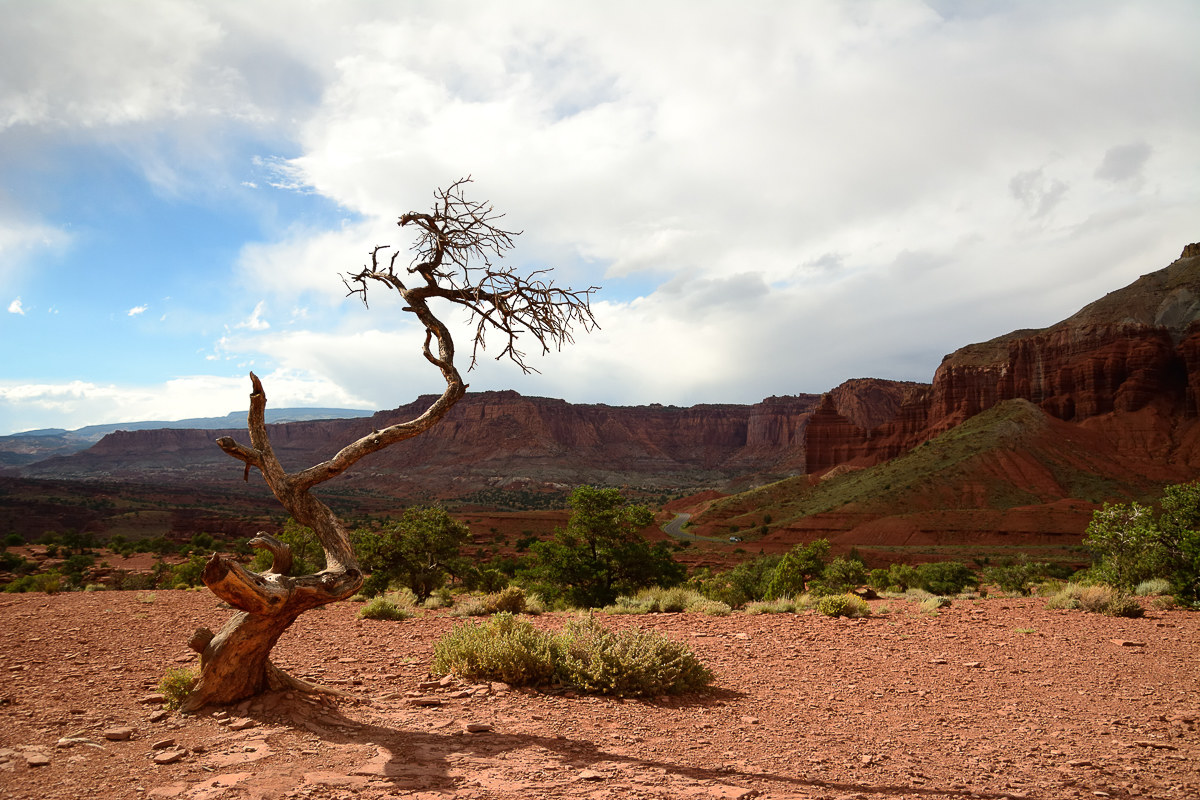 Capitol Reef