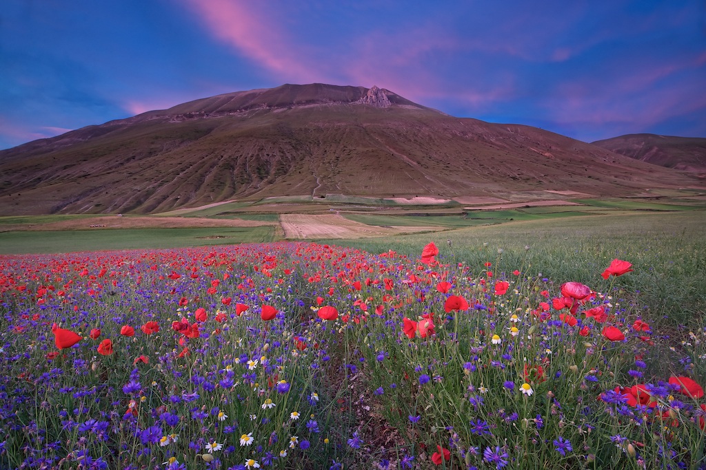 Castelluccio