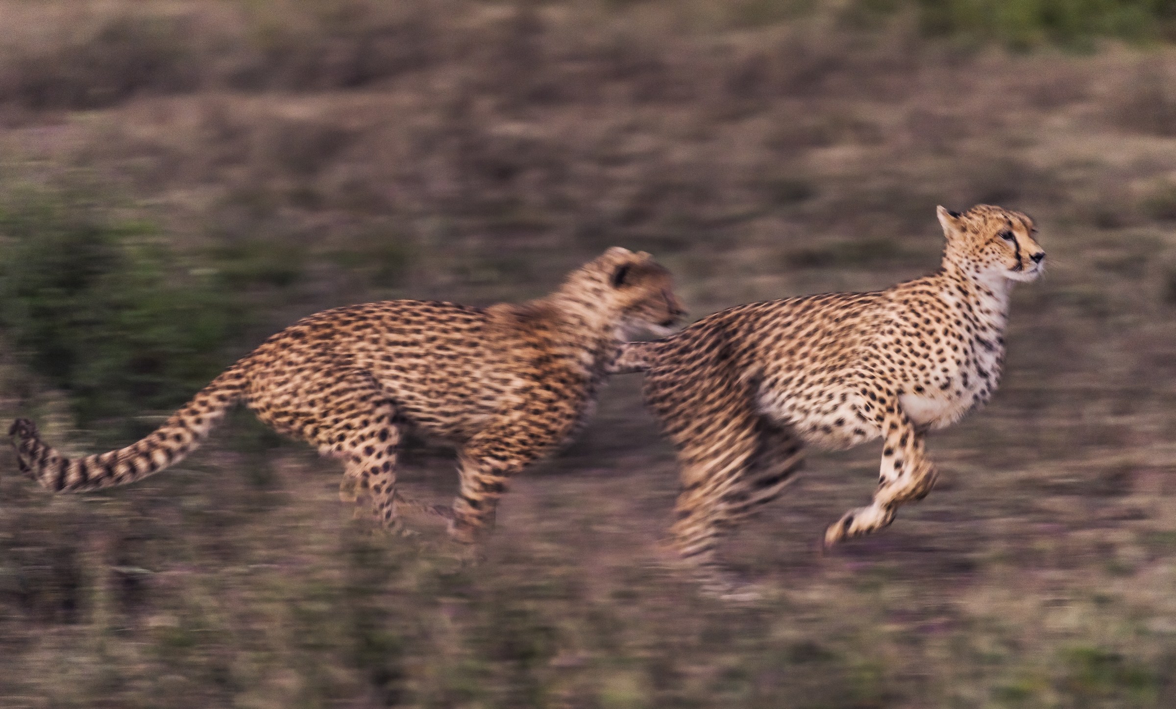 Tanzania 2016 - Giochi all'alba