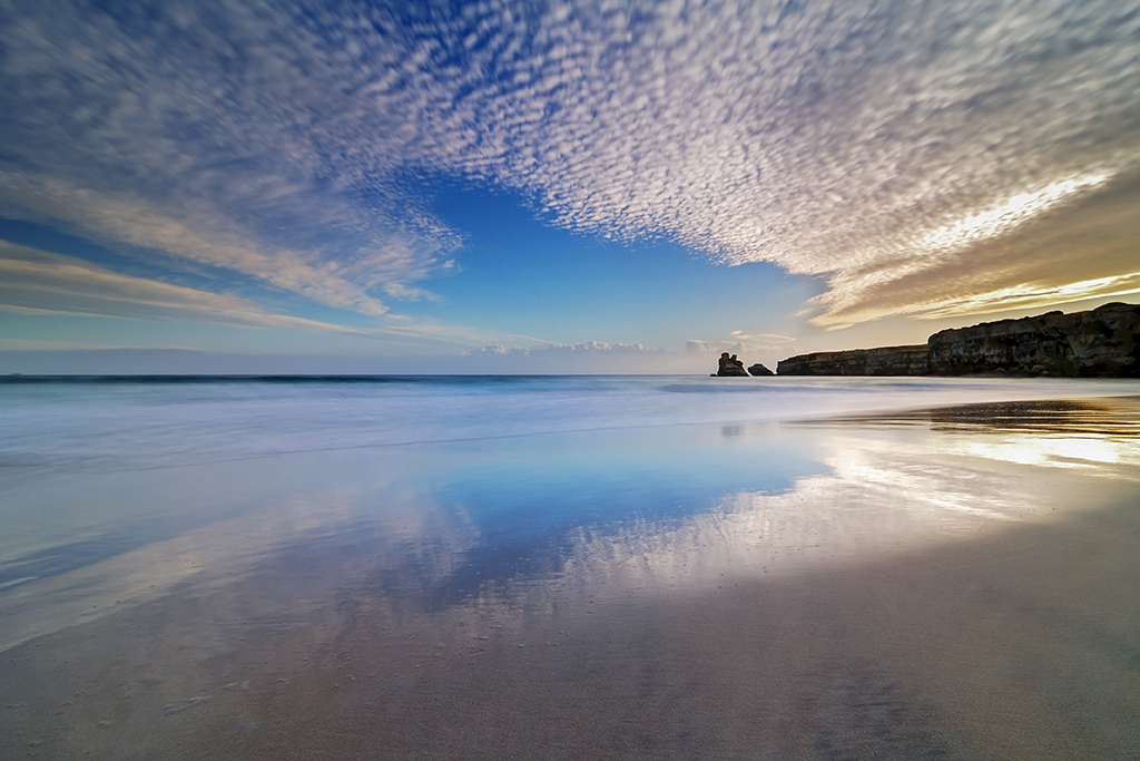 ... A large butterfly ...