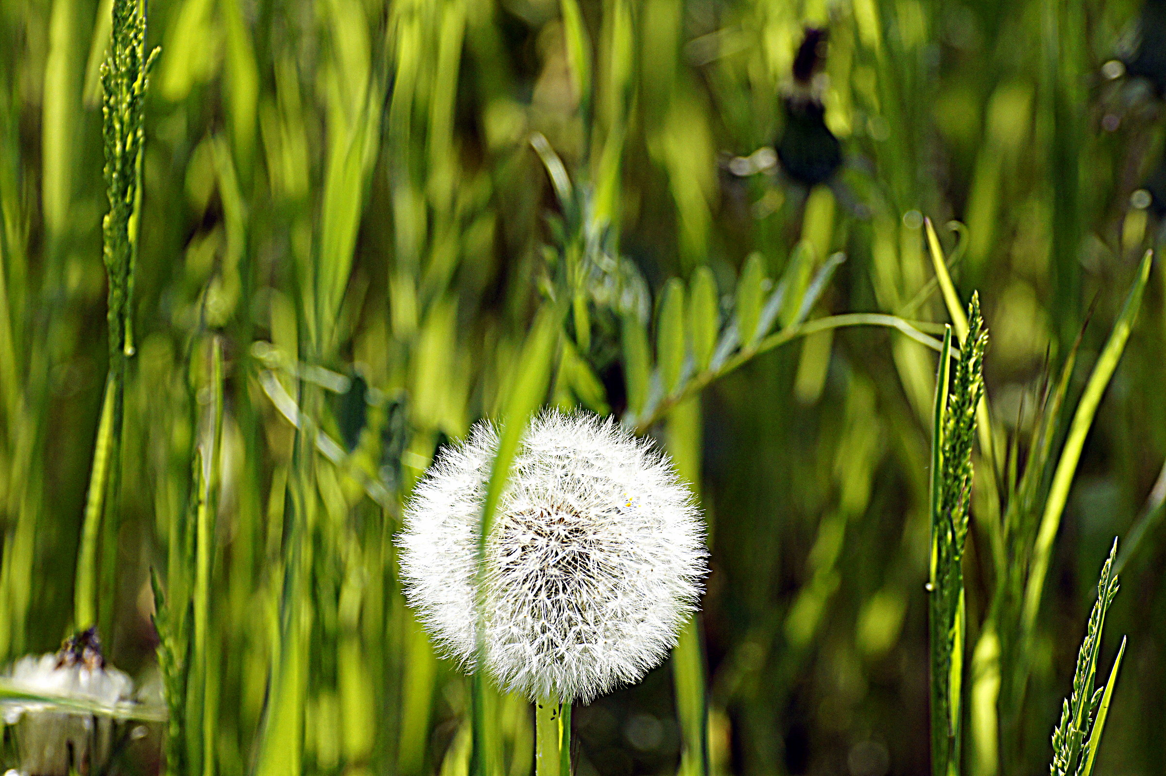Before they arrive ... wind