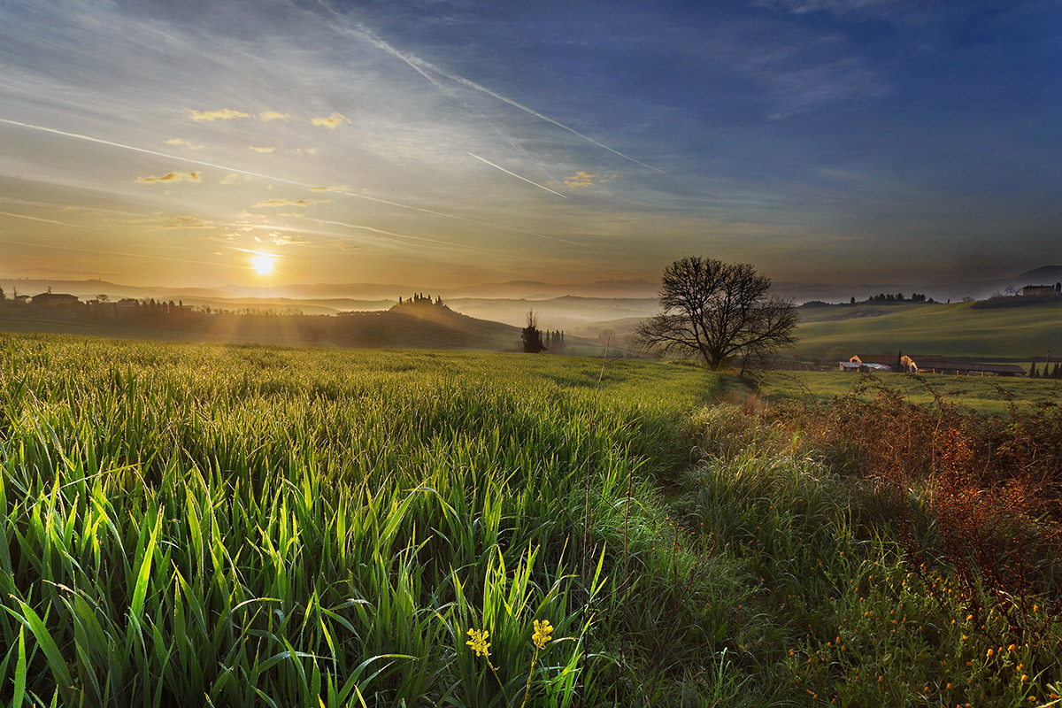The dawn in the countryside of San Quirico