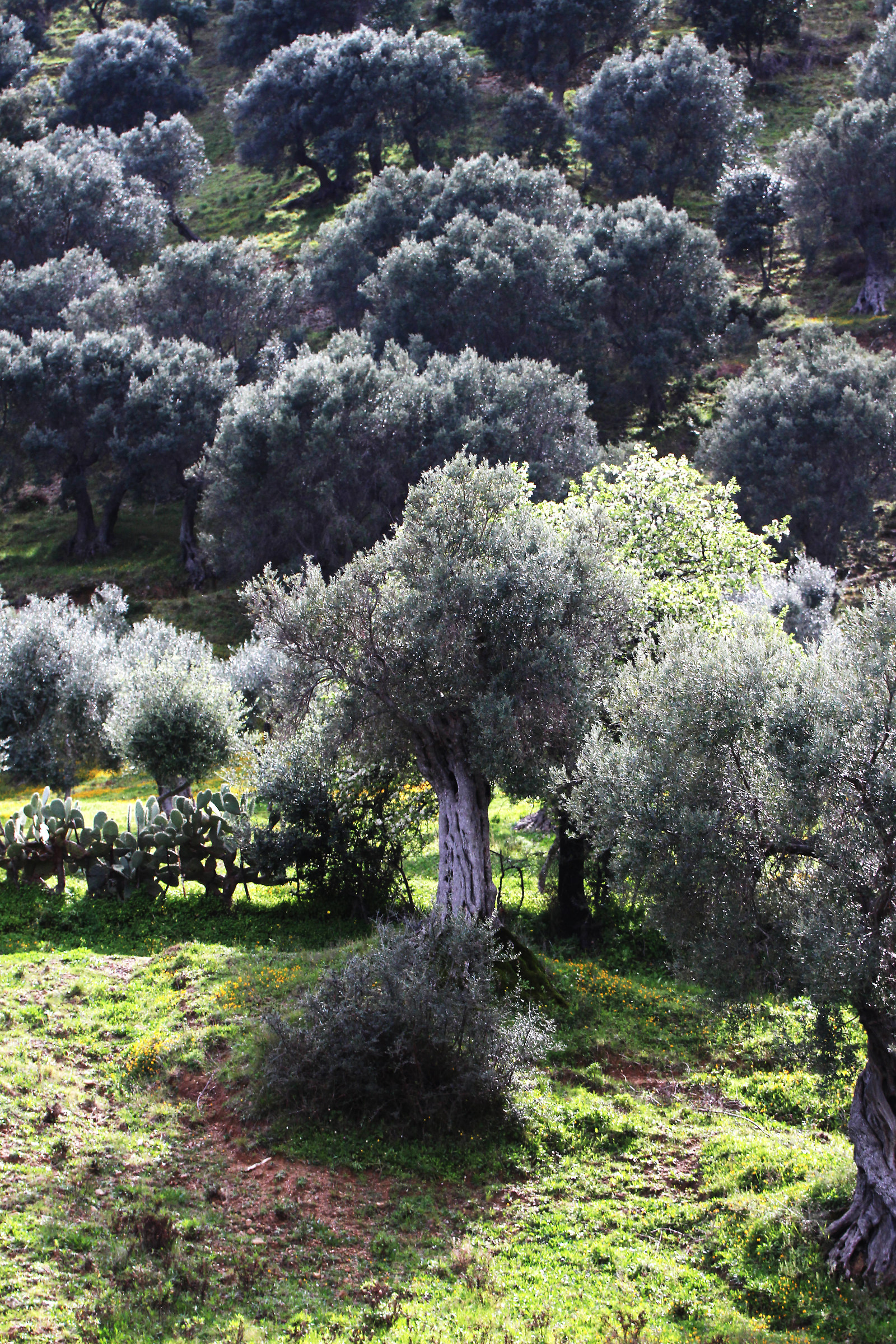 One, no, a hundred thousand