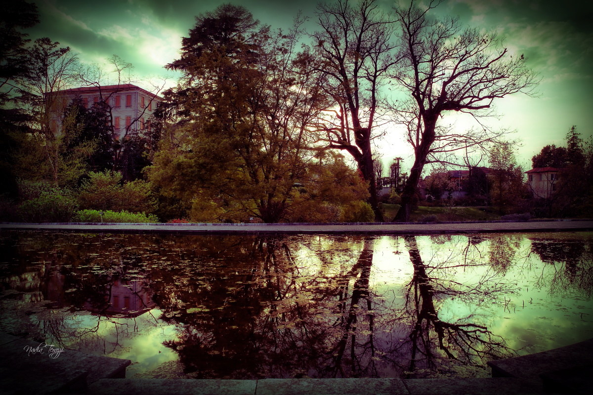 contrasts and reflections