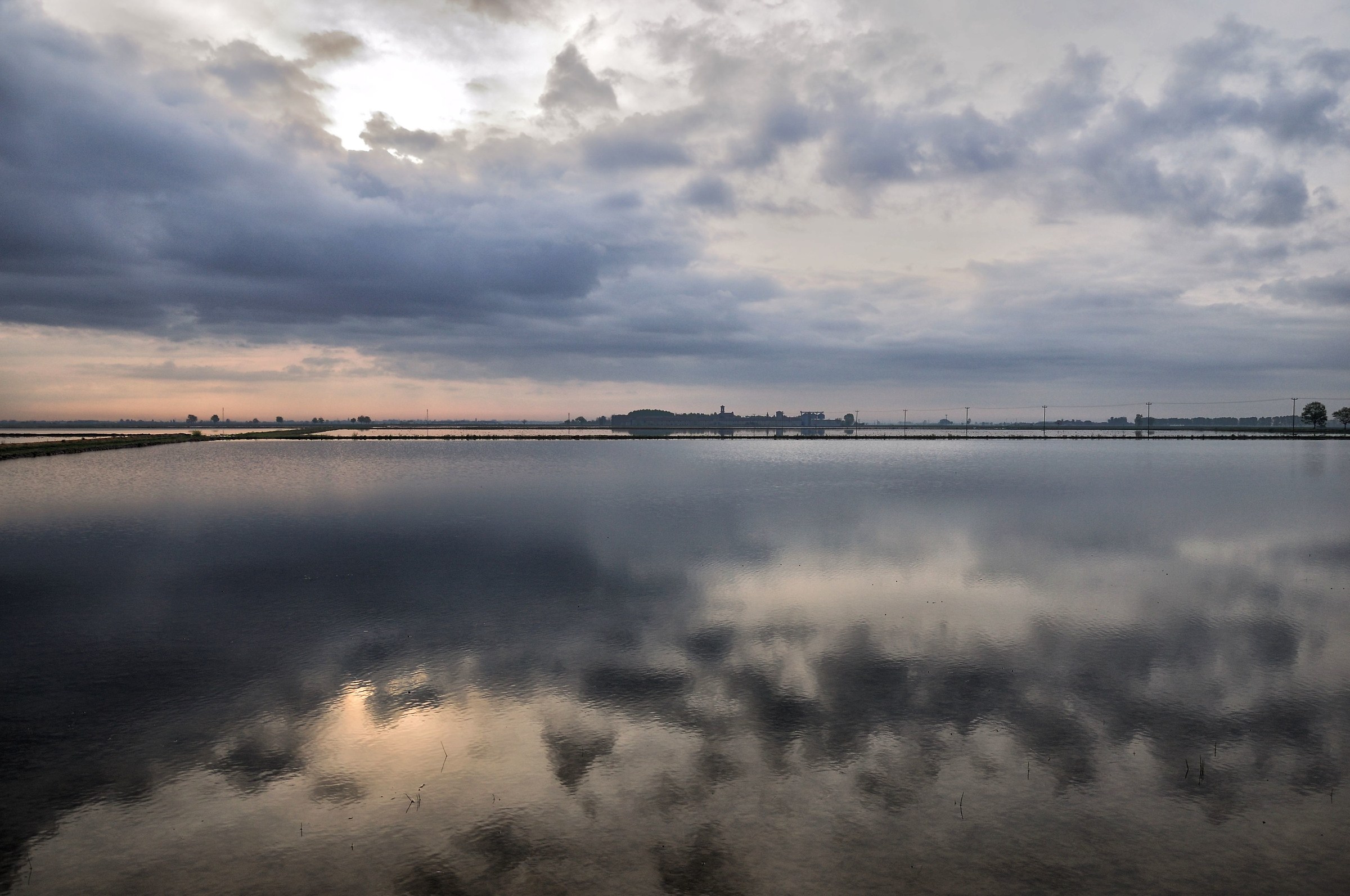 the morning of rice fields