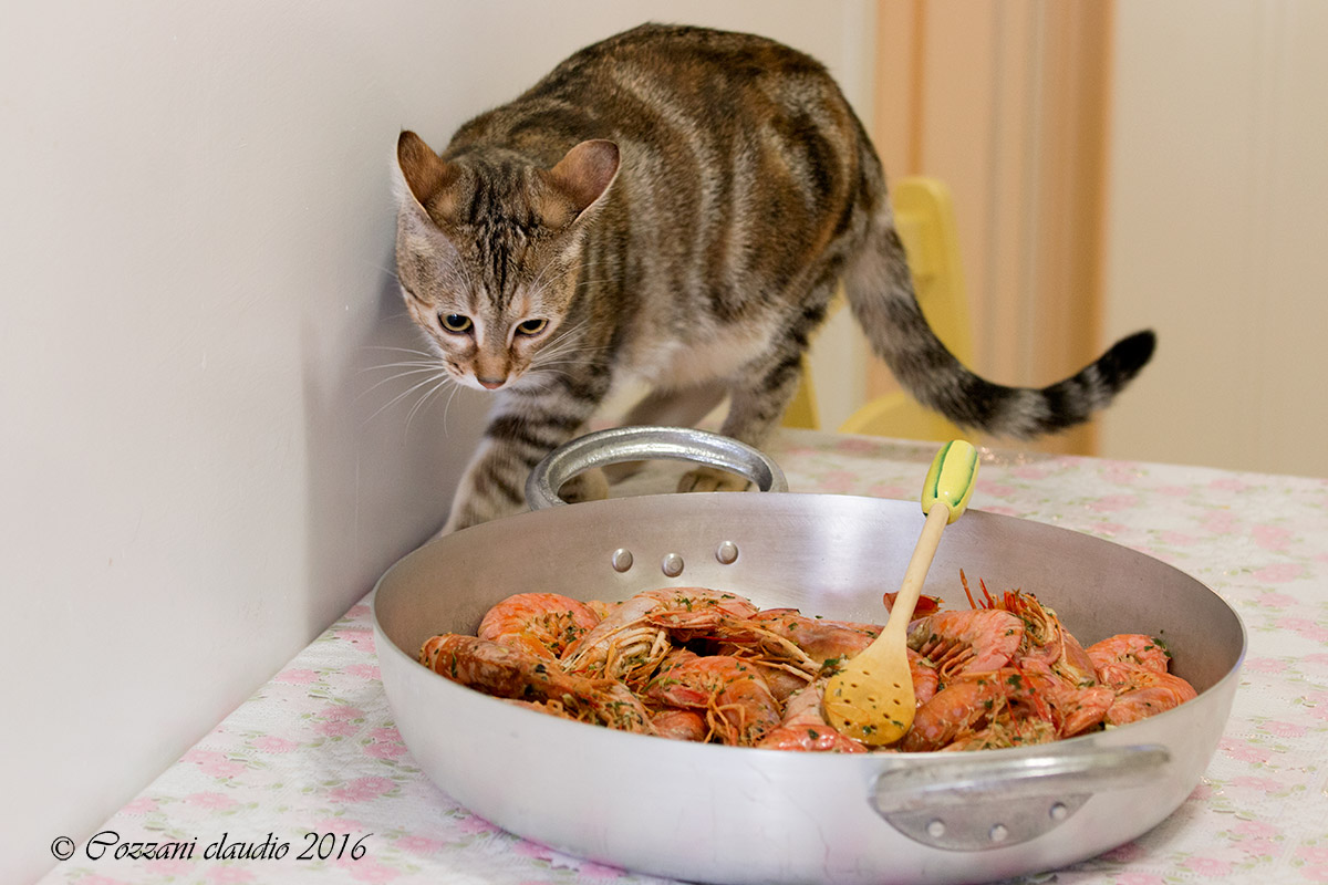 one more step and ......