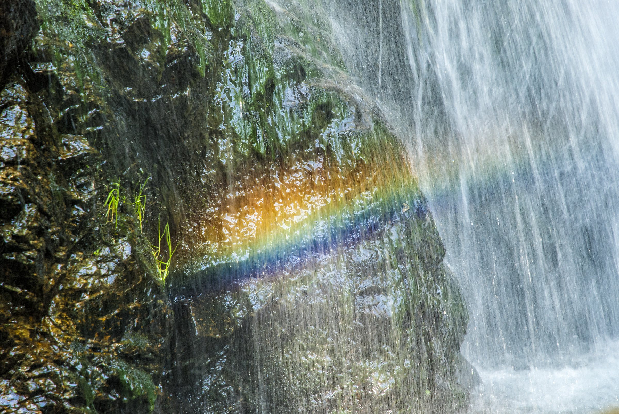 Triberger Wasserfälle