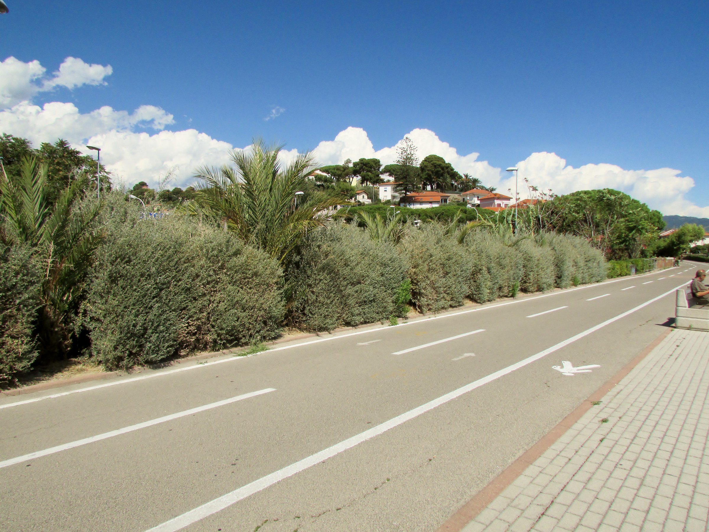 passeggiando in bicicletta