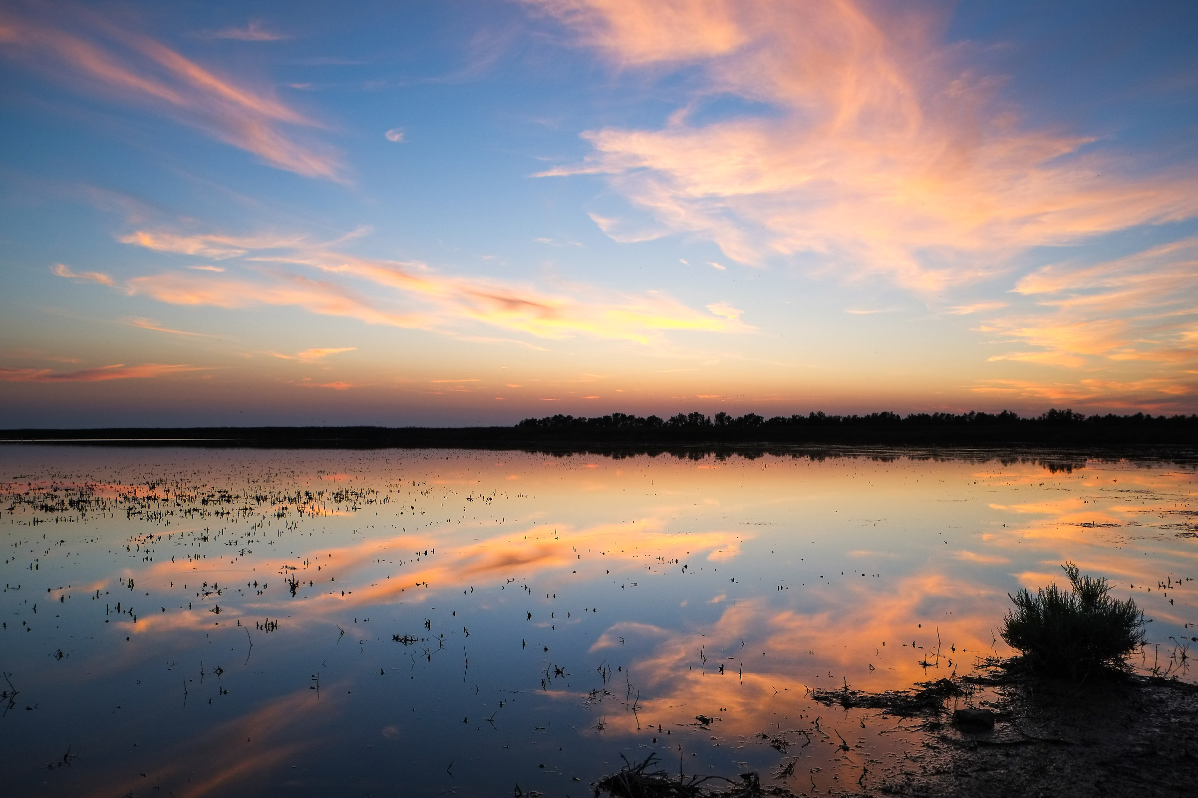 Vaccares pond in the Camargue