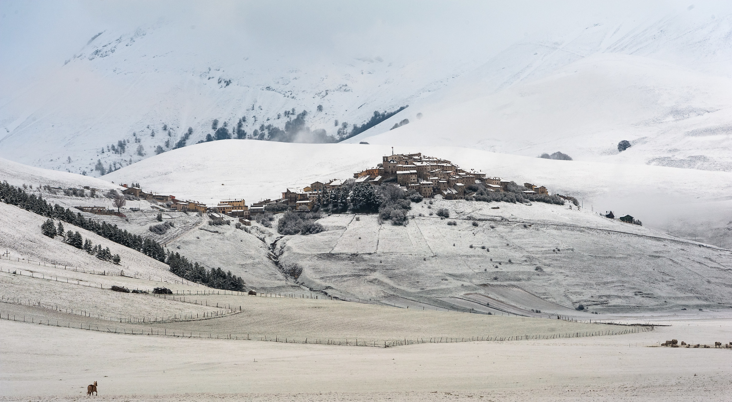 The Land Before Time