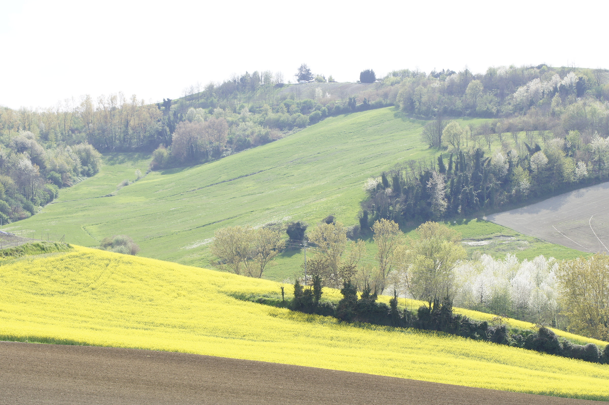 afternoon in the countryside