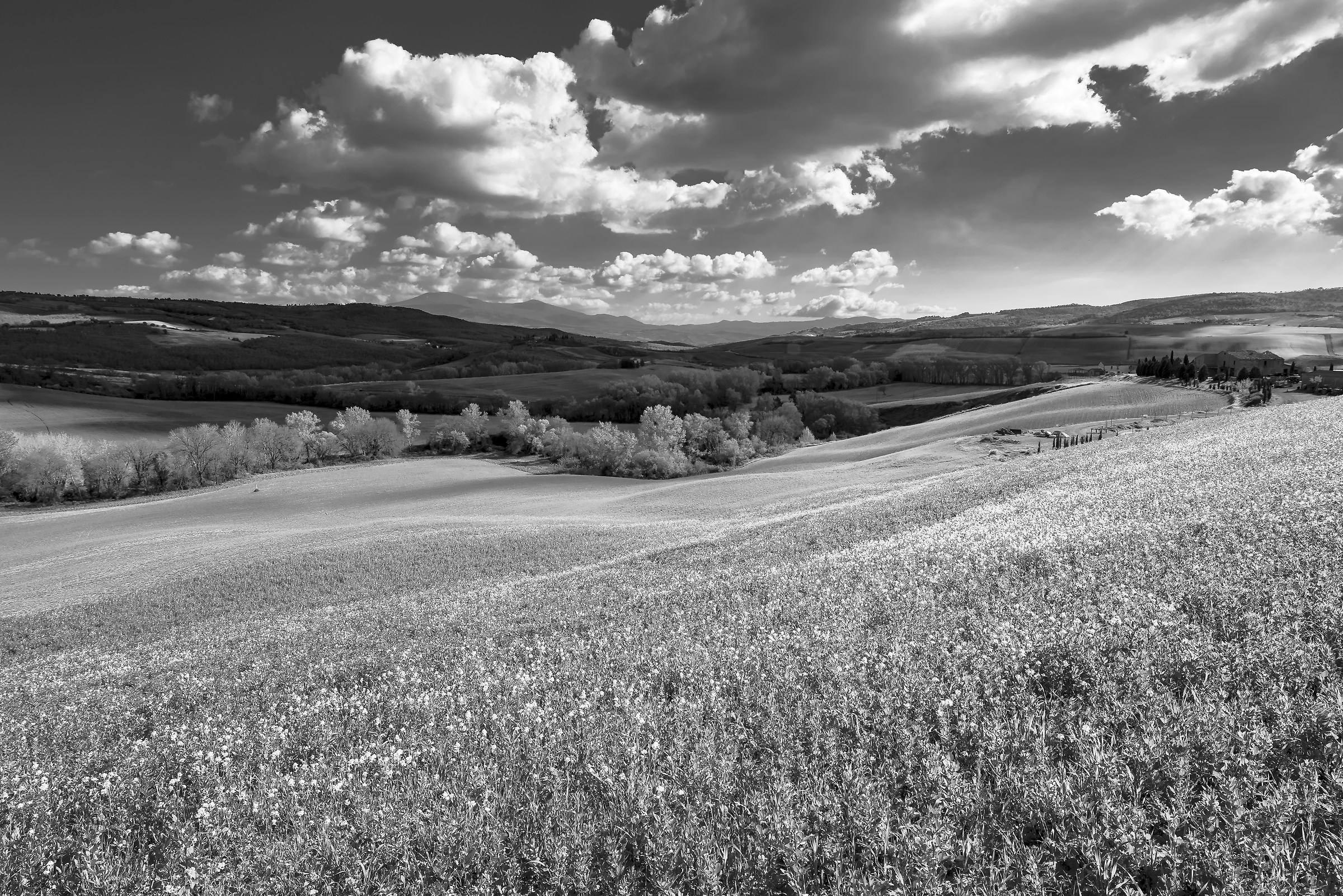Val d'Orcia and Mt. Amiata
