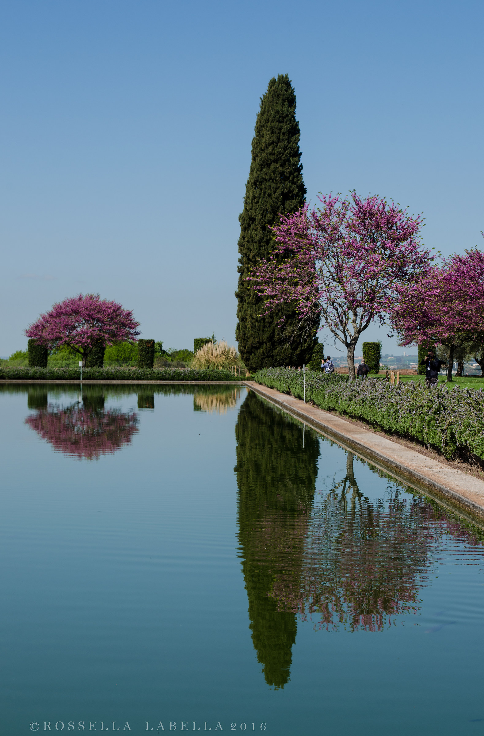 Riflessi a Villa Adriana