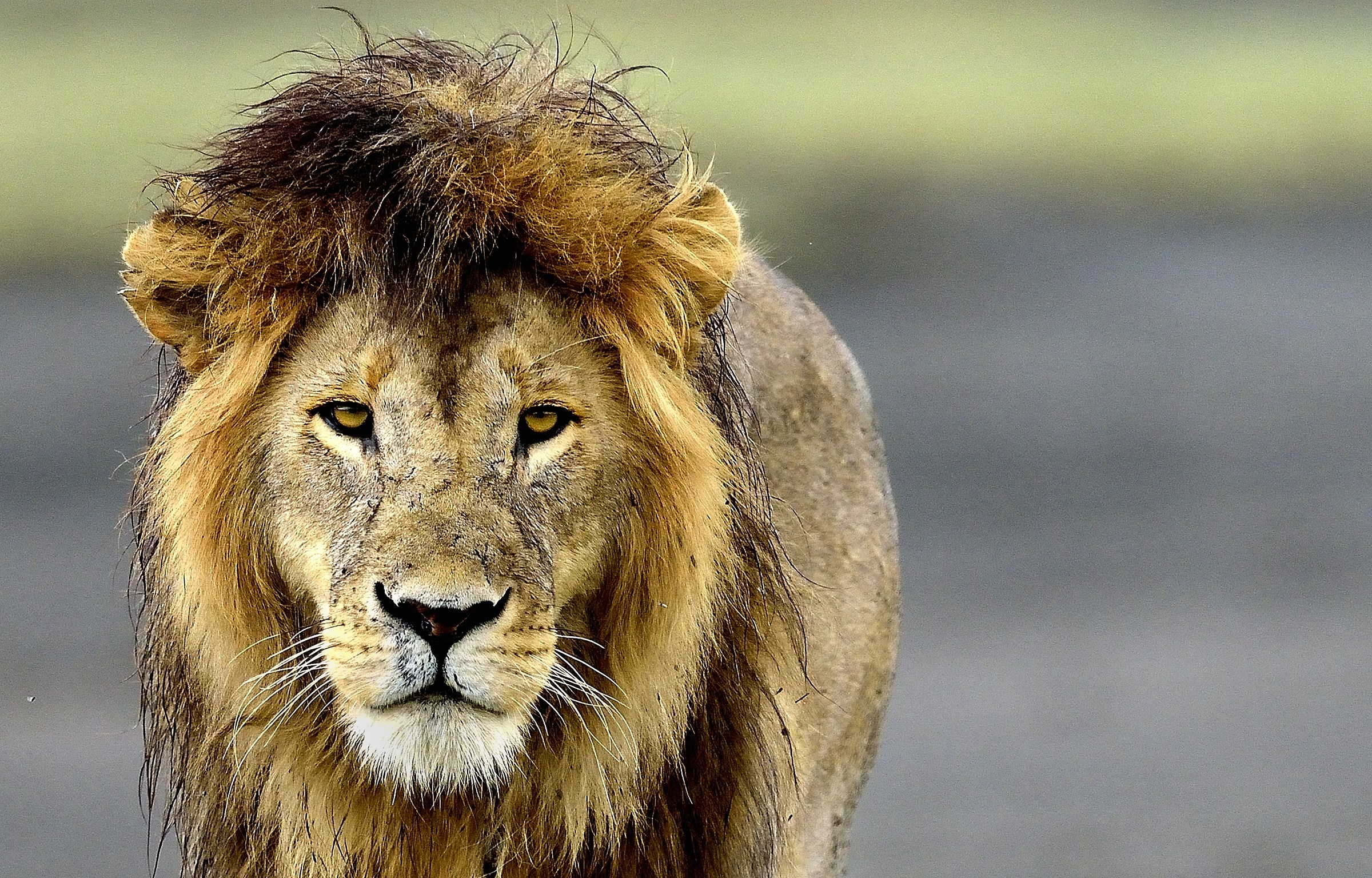 Tanzania 2016 - Ritratto