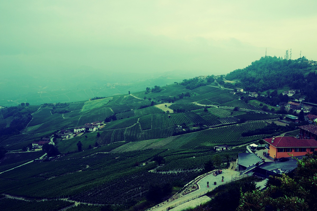 Marathon picture of the Langhe