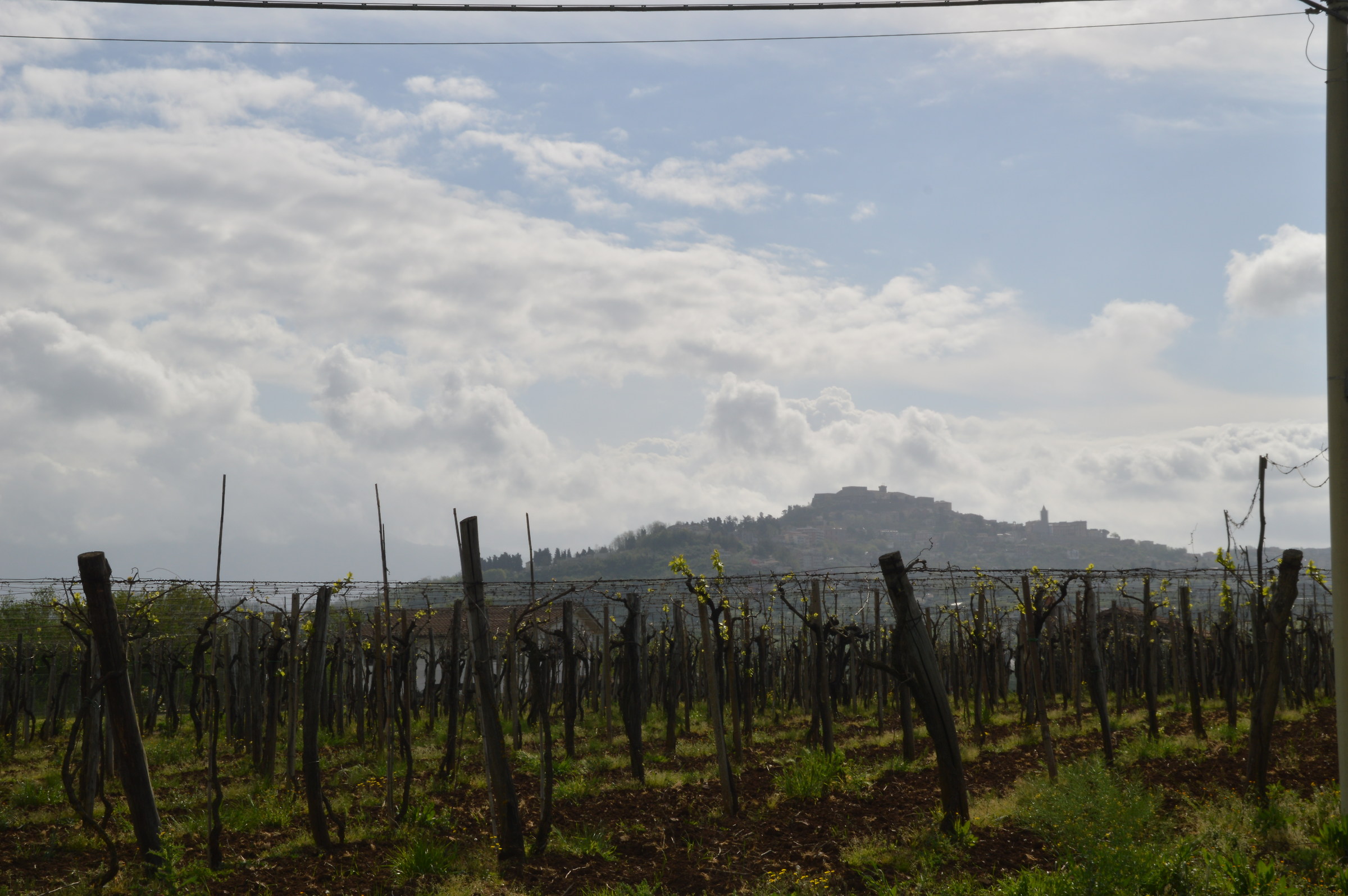 guarda...guarda la...guarda...la città