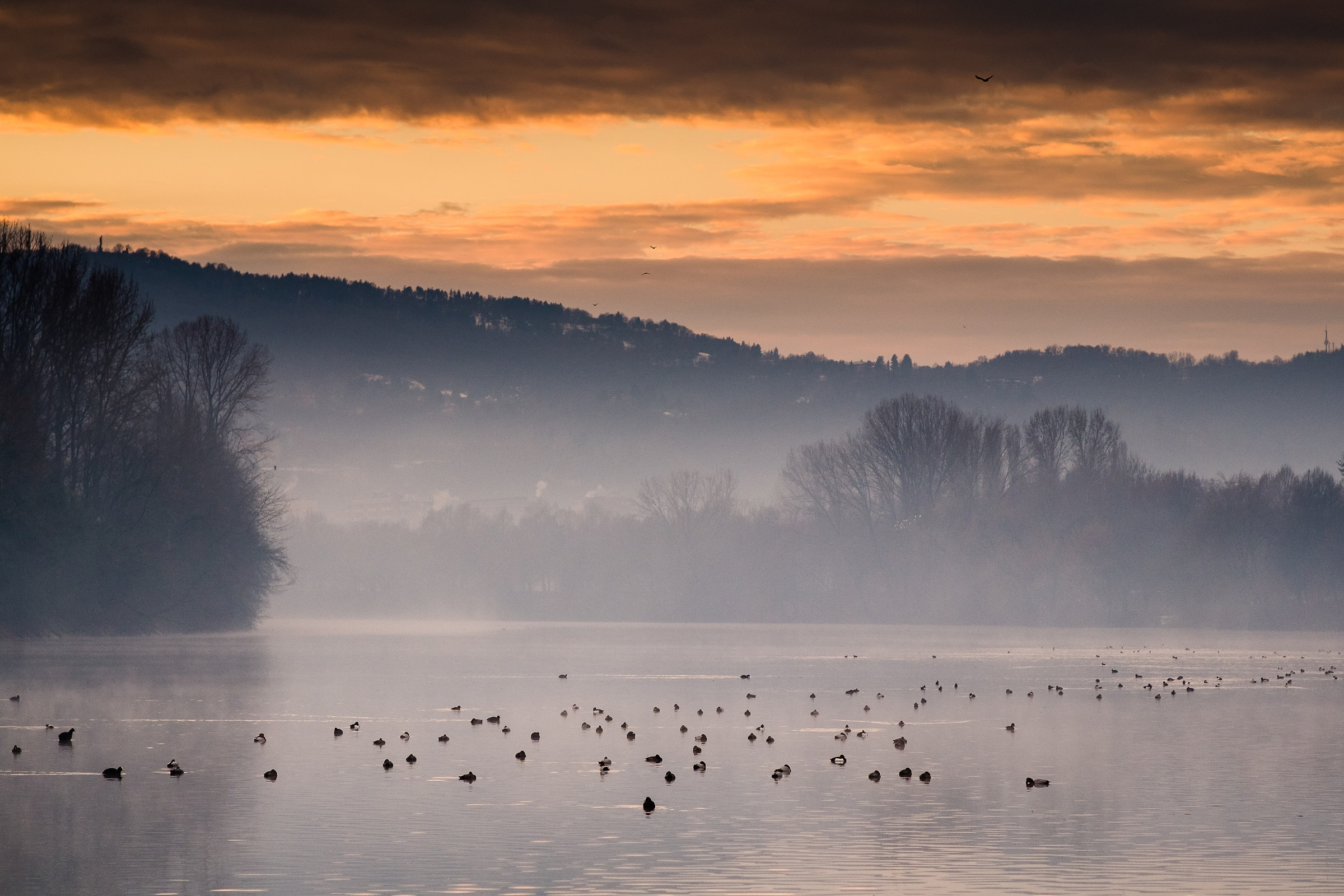 alba al parco colletta, torino