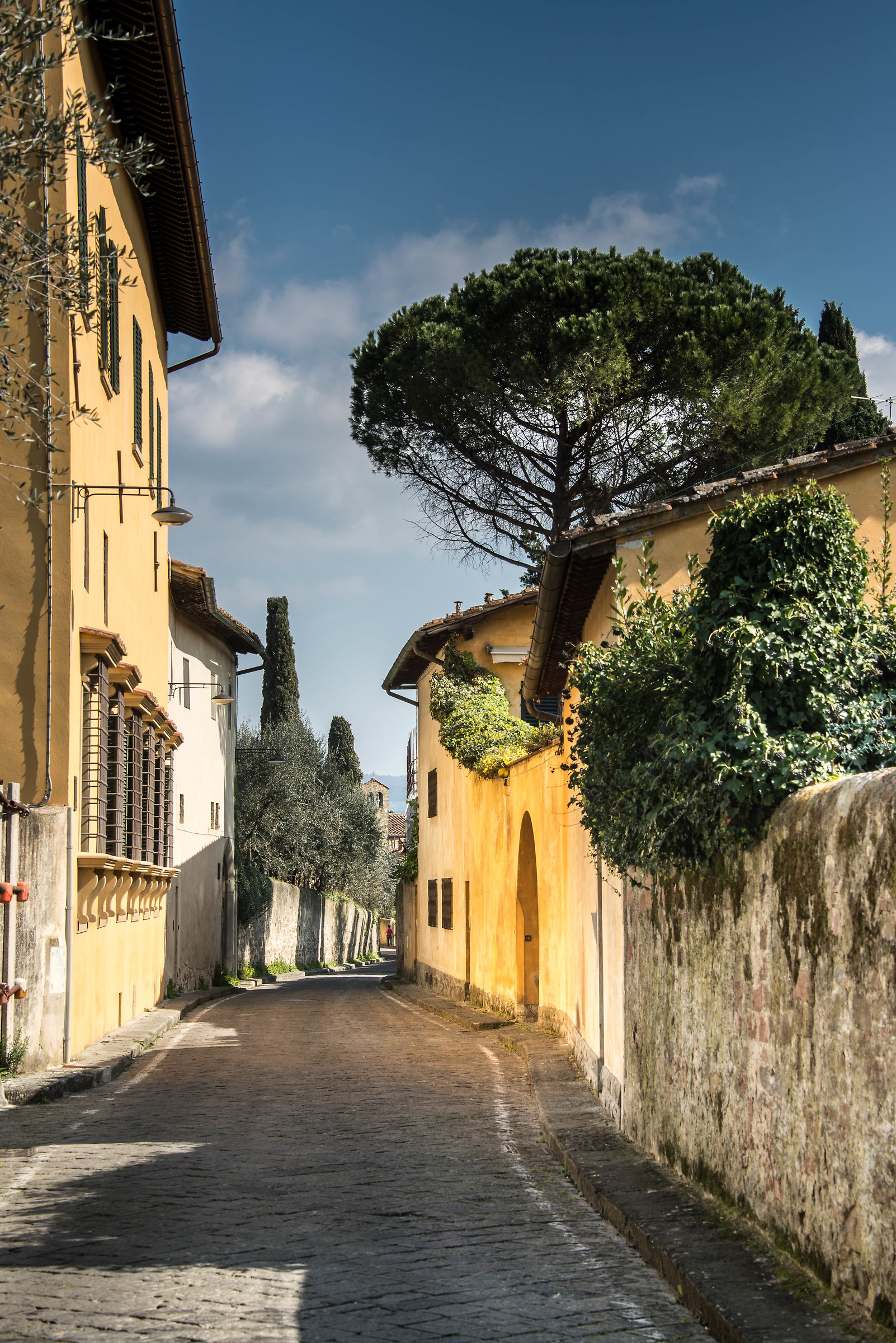 Via San Leonardo - Firenze