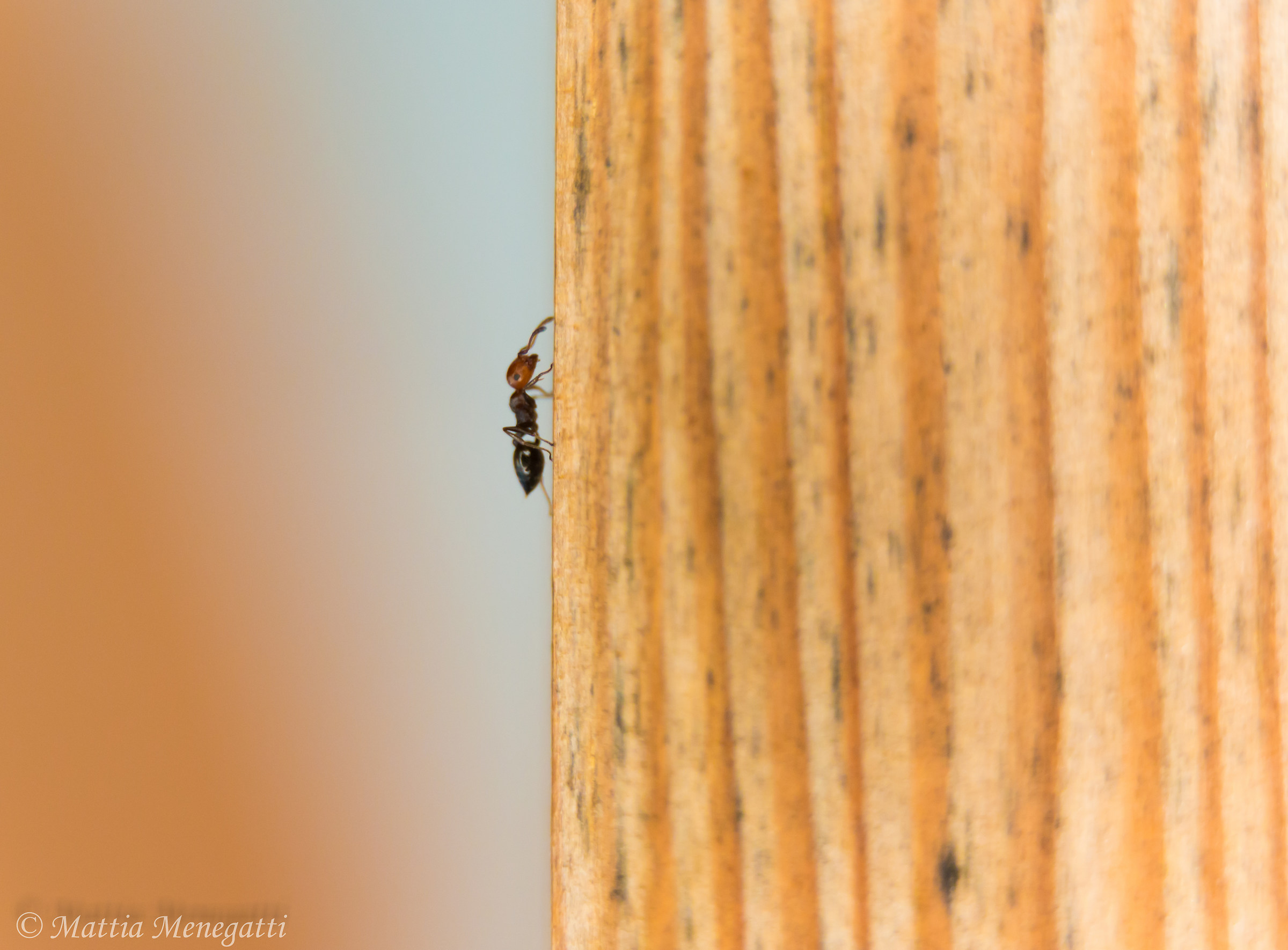 There are those who descend, and there are those rooms!