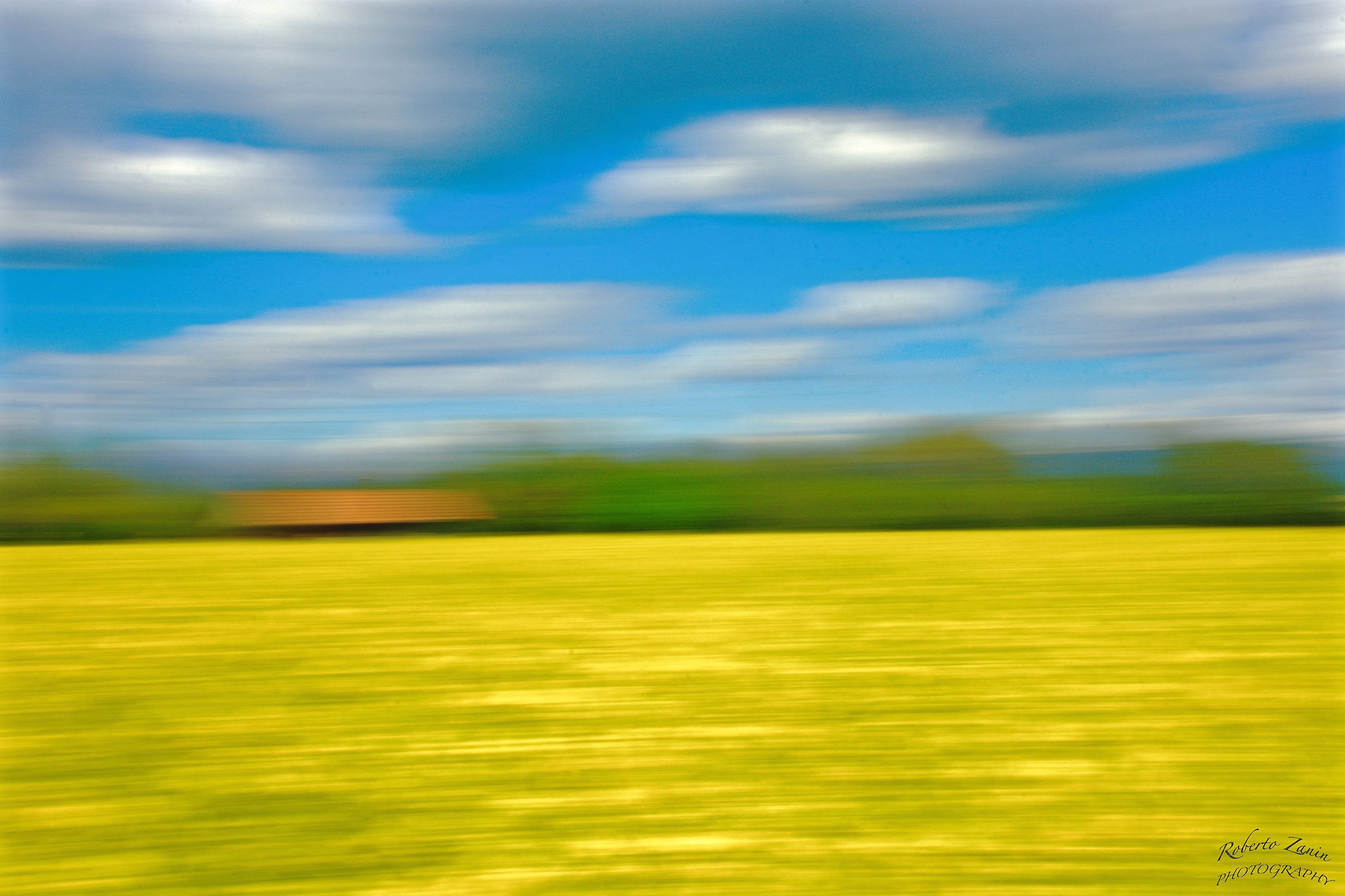 Fra i campi di colza